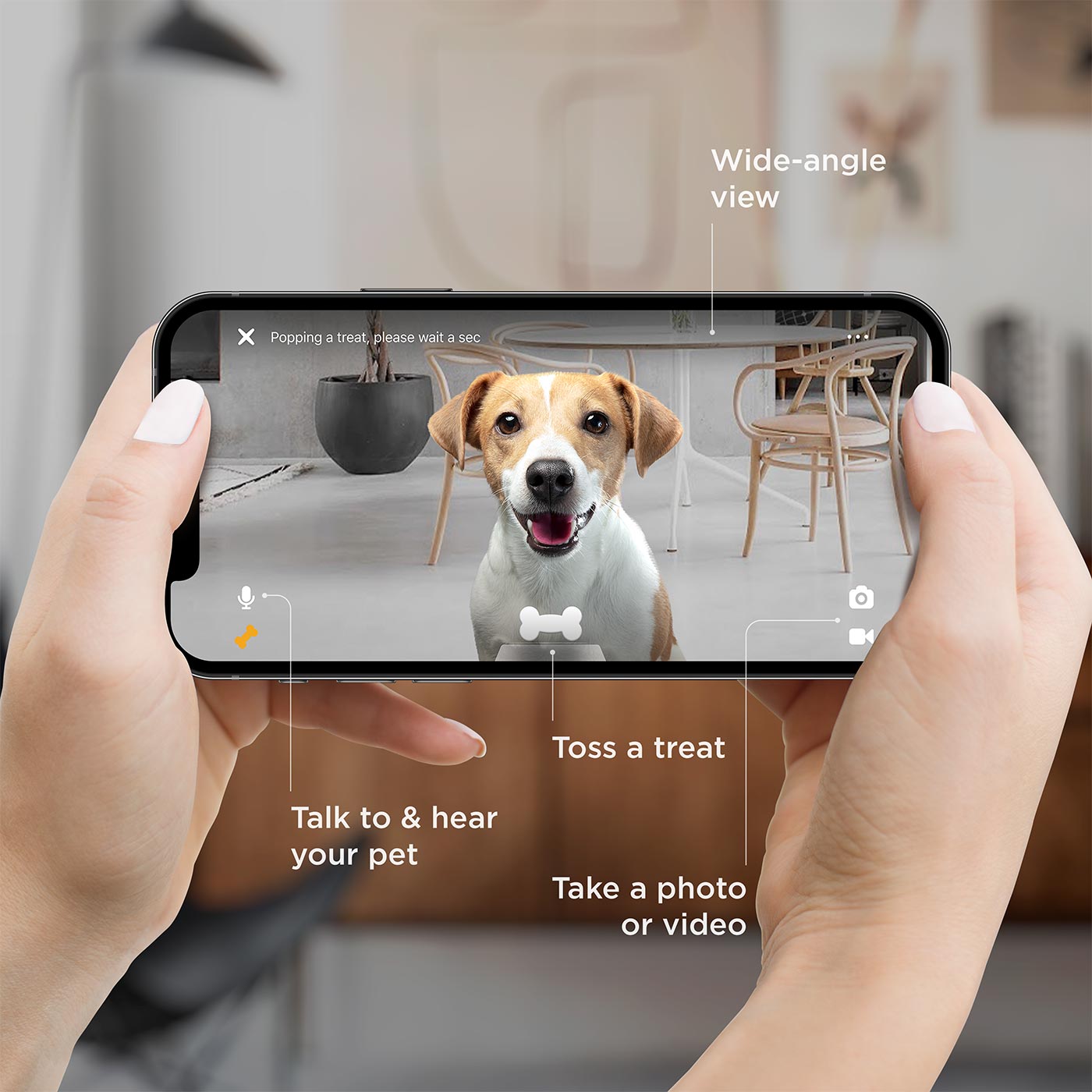 Petcube Bites 2 Lite - WiFi Pet Camera with 2-Way Audio, Automatic Treat Dispenser & Night Vision for Dogs & Cats - Monitor & Play with Pets Remotely at Home or Office