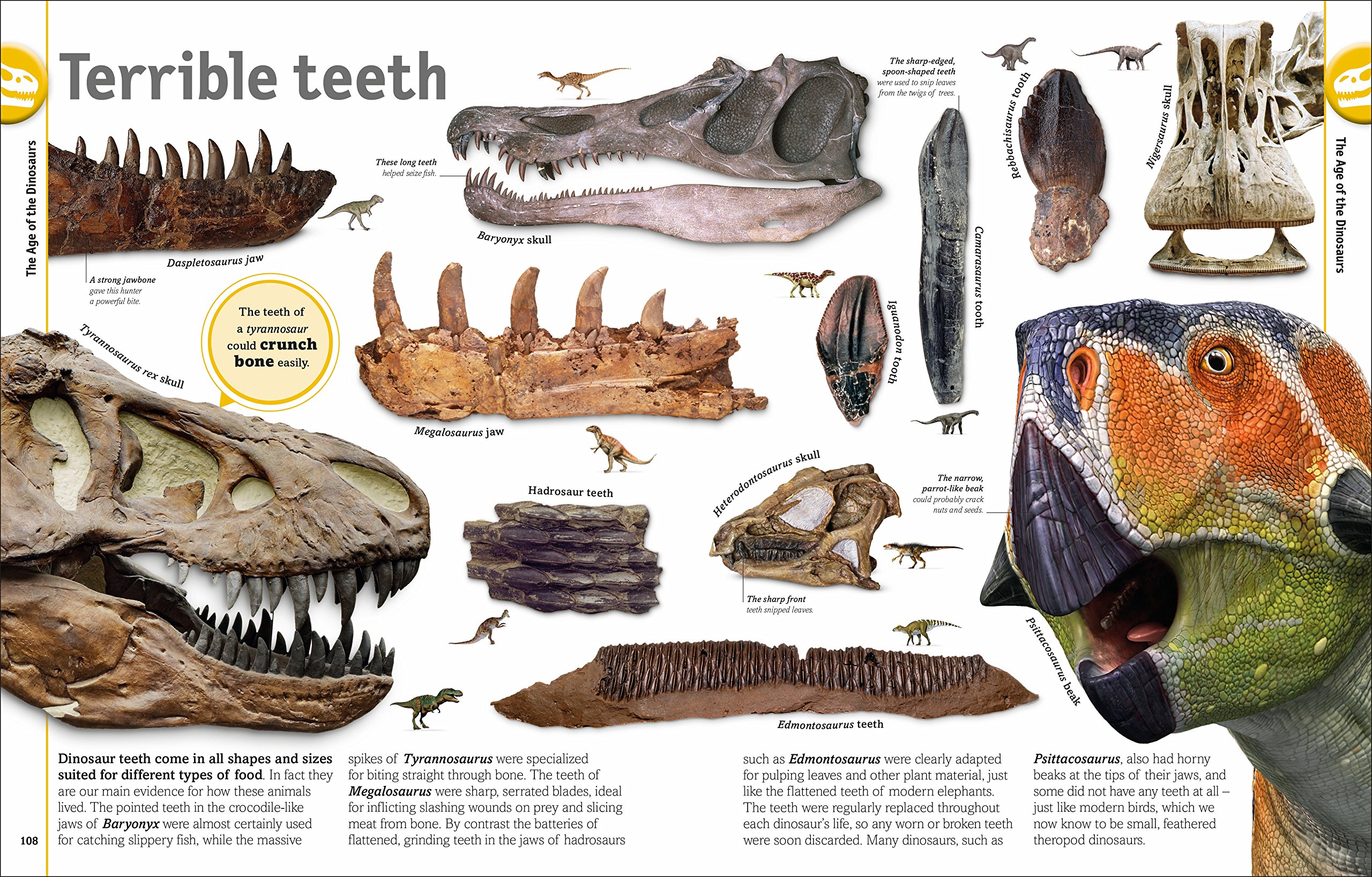 The Dinosaur Book - Educational Kids Book About Dinosaurs for Children | Perfect for Learning, Gifts & Bedtime Reading