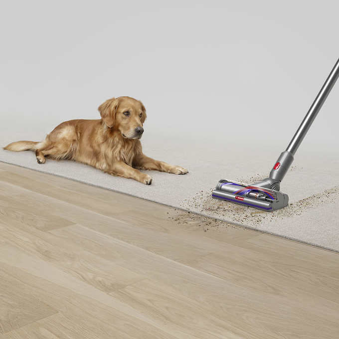 Dyson V15 Detect Total Clean Extra Cordless Stick Vacuum - Powerful Suction for Pet Hair & Deep Cleaning | Lightweight & Cordless for Hardwood Floors & Carpets | Like New Condition (Damaged Box) | Perfect for Home, Office & Car Cleaning