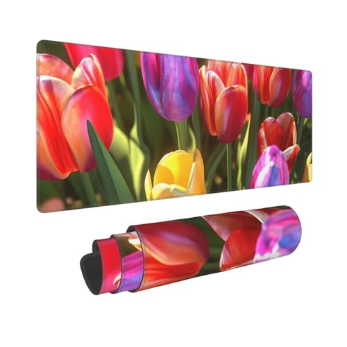 Colorful Tulips