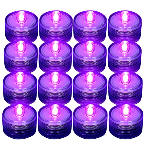 Purple12