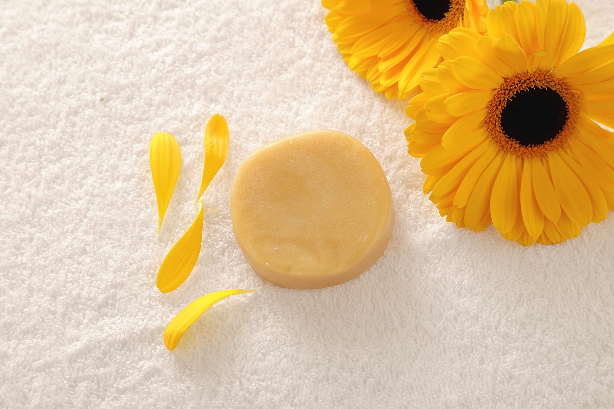 All-Natural Sulfate-Free Conditioner Bar for All Hair Types - Handmade with Lemon & Antioxidants to Nourish & Strengthen Hair - Zero Waste Eco-Friendly Hair Care for Daily Use & Travel