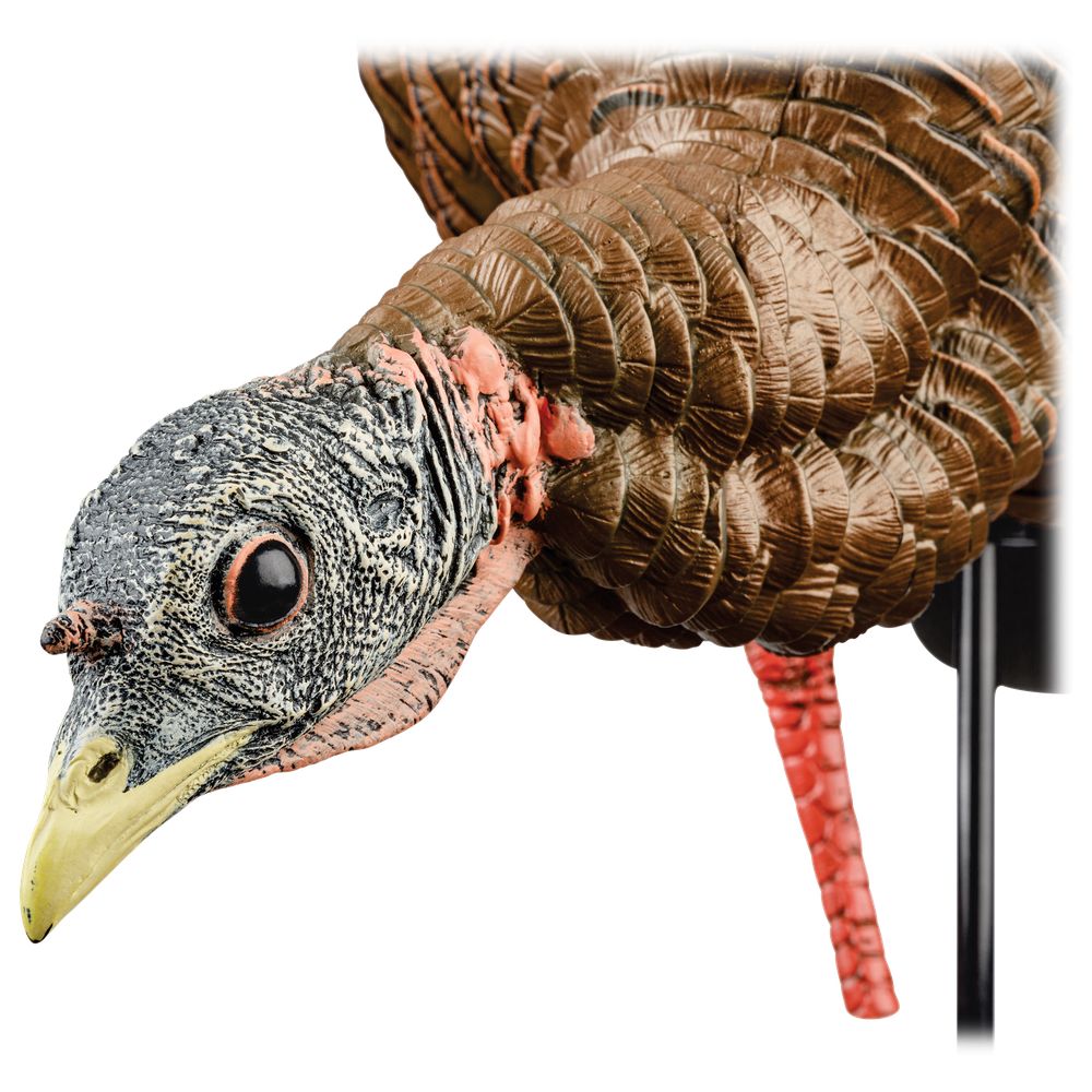 Avian X HDR Heavy Duty Realistic Full Body Hen Turkey Hunting Decoy - Perfect for Waterfowl Hunting, Turkey Calling, and Outdoor Wildlife Photography