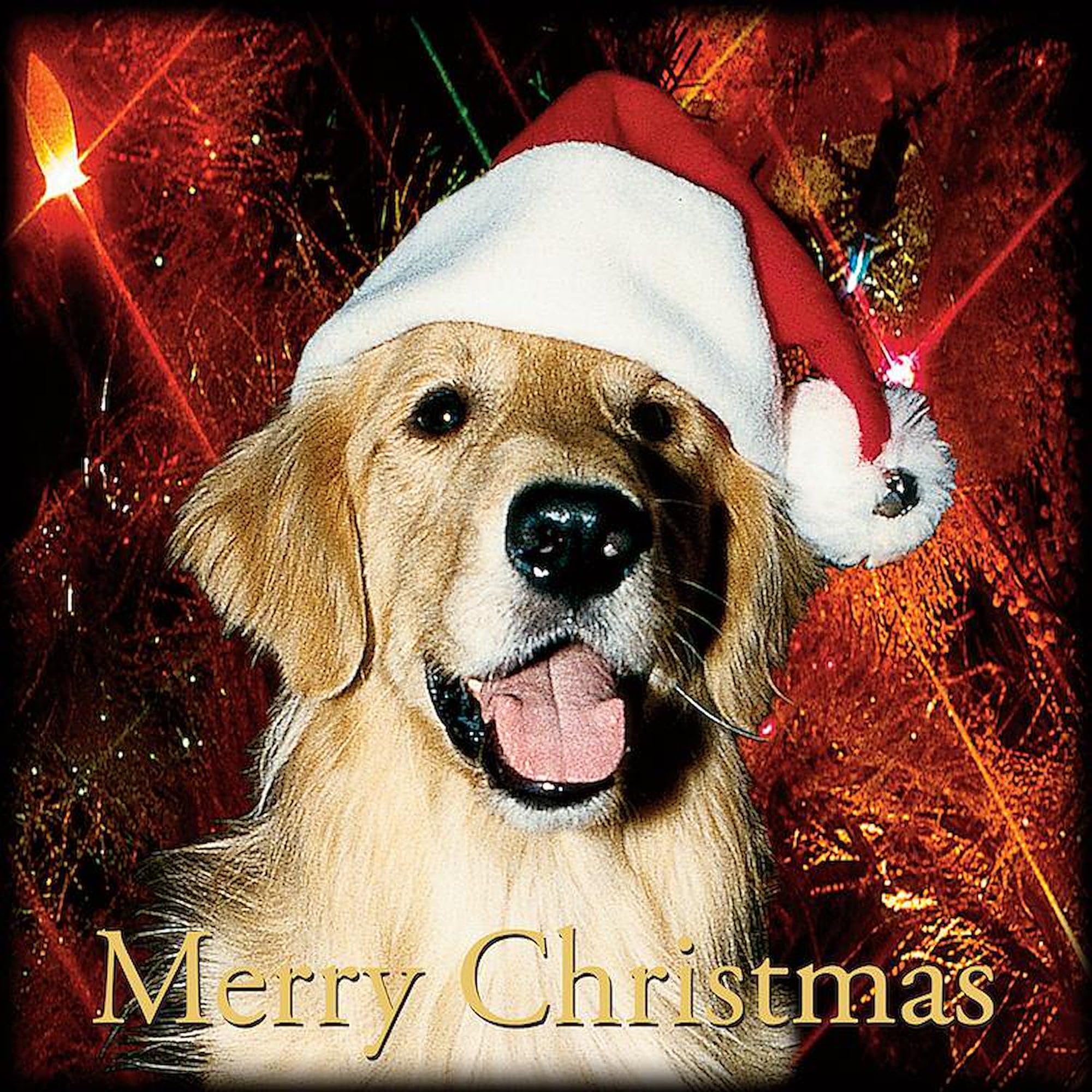Golden Retriever Christmas Car Magnet 3x3 Inch - Funny Holiday Bumper Sticker for Dog Lovers - Perfect for Cars, Trucks & Metal Surfaces - Festive Pet Gift Idea