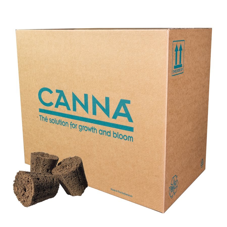 Organic Canna Root Plugs for Hydroponics & Soil - Premium Starter Plugs for Cannabis Cloning & Seedlings - Ideal for Indoor & Outdoor Growers