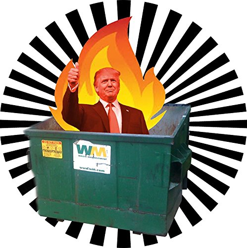 Trump MAGA GOP 2020 Vinyl Magnetic Sheet - 5