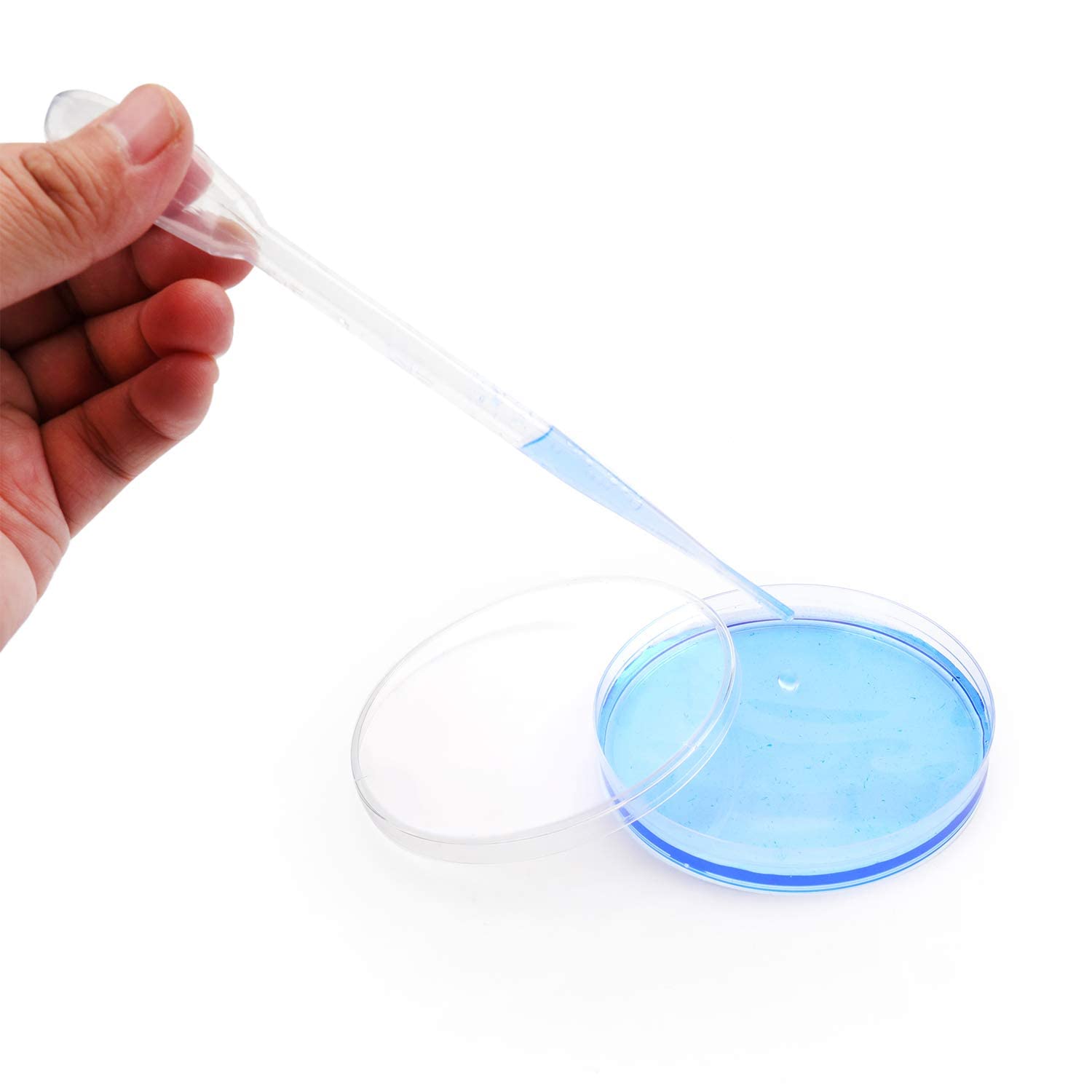 ECNEICS 75mm Borosilicate Glass Petri Dish - Pack of 1 | Lab-Grade for Scientific Experiments, Microbiology, Cell Culture & Classroom Use