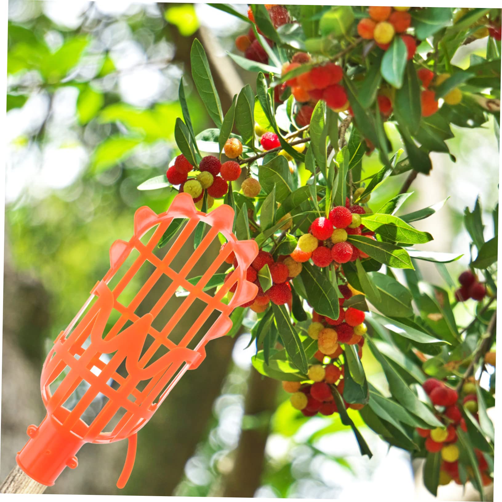2-Pack Plastic Fruit Picker Tool - Lightweight Orchard Harvesting Basket for Jujube, Persimmon, Mango & More - Easy Reach Fruit Collector for Home Garden, Farm & Backyard Harvesting