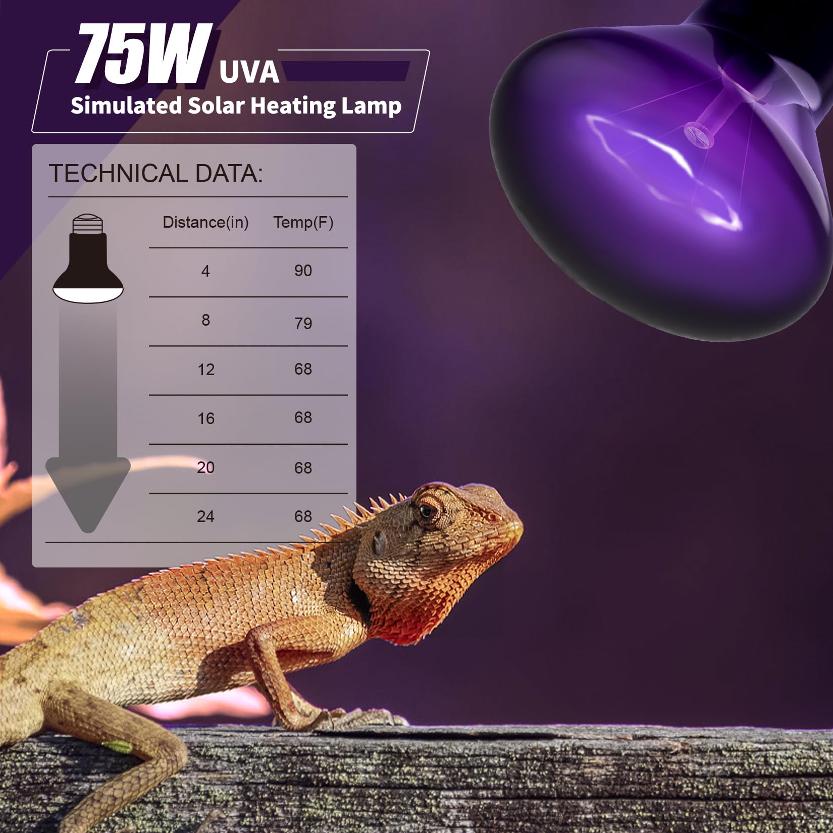 75W Reptile Heat Lamp Bulbs - Infrared Red Heat Bulb E26 110V for Chickens, Snakes, Lizards & Spiders - 2 Pack Black Bulbs for Pet Habitat Heating & Nighttime Warmth