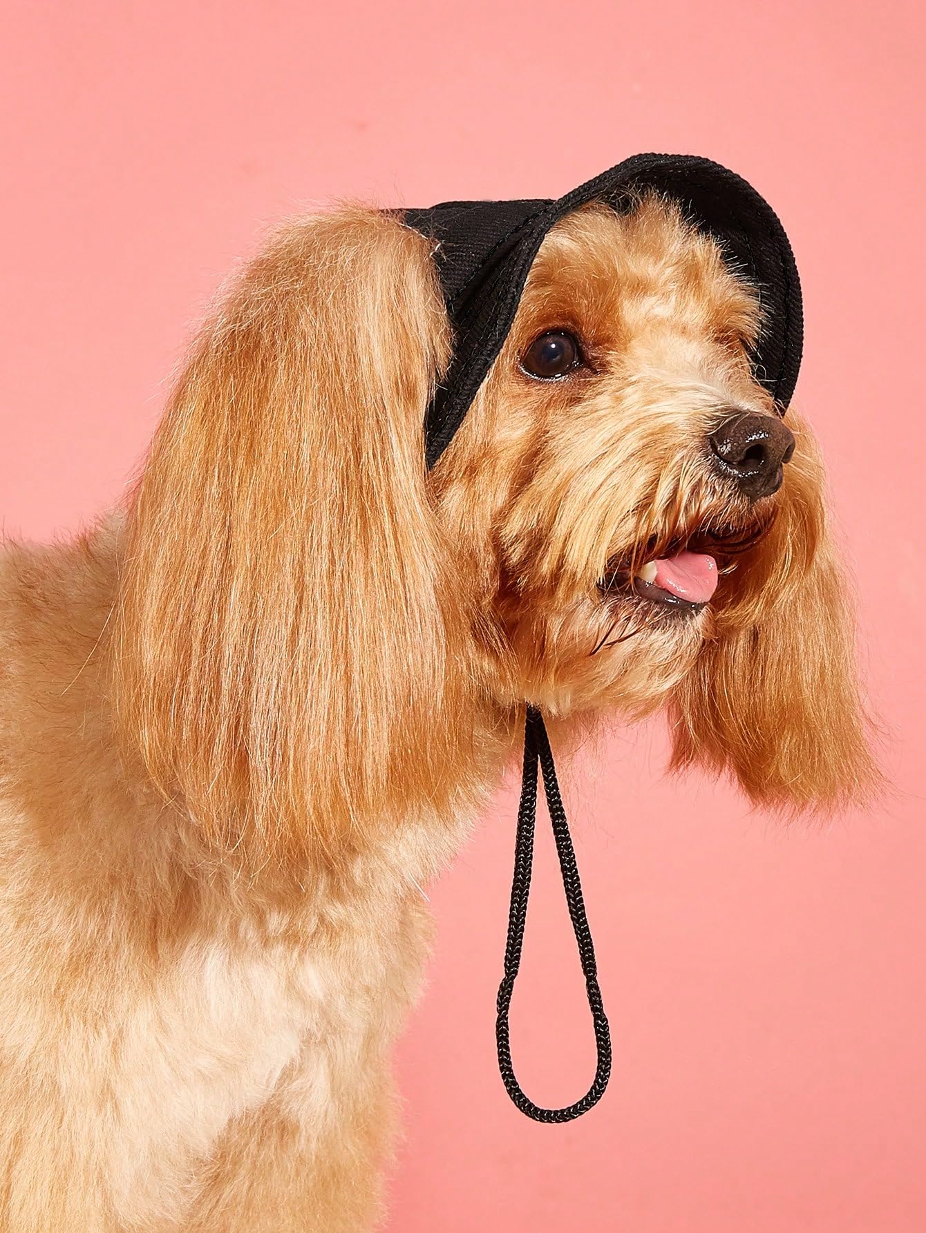 QWINEE Dog Sun Hat with Ear Holes - UV Protection Bucket Hat for Small & Medium Dogs & Cats - Adjustable Pet Cap for Outdoor Activities, Beach, Park & Summer Adventures (Black, Size A)