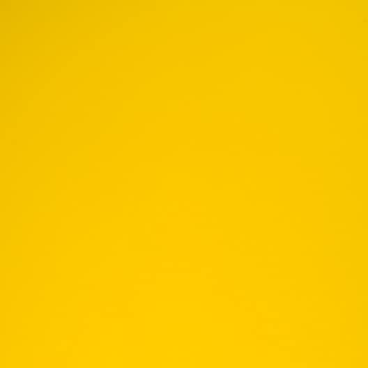 Sunflower Yellow