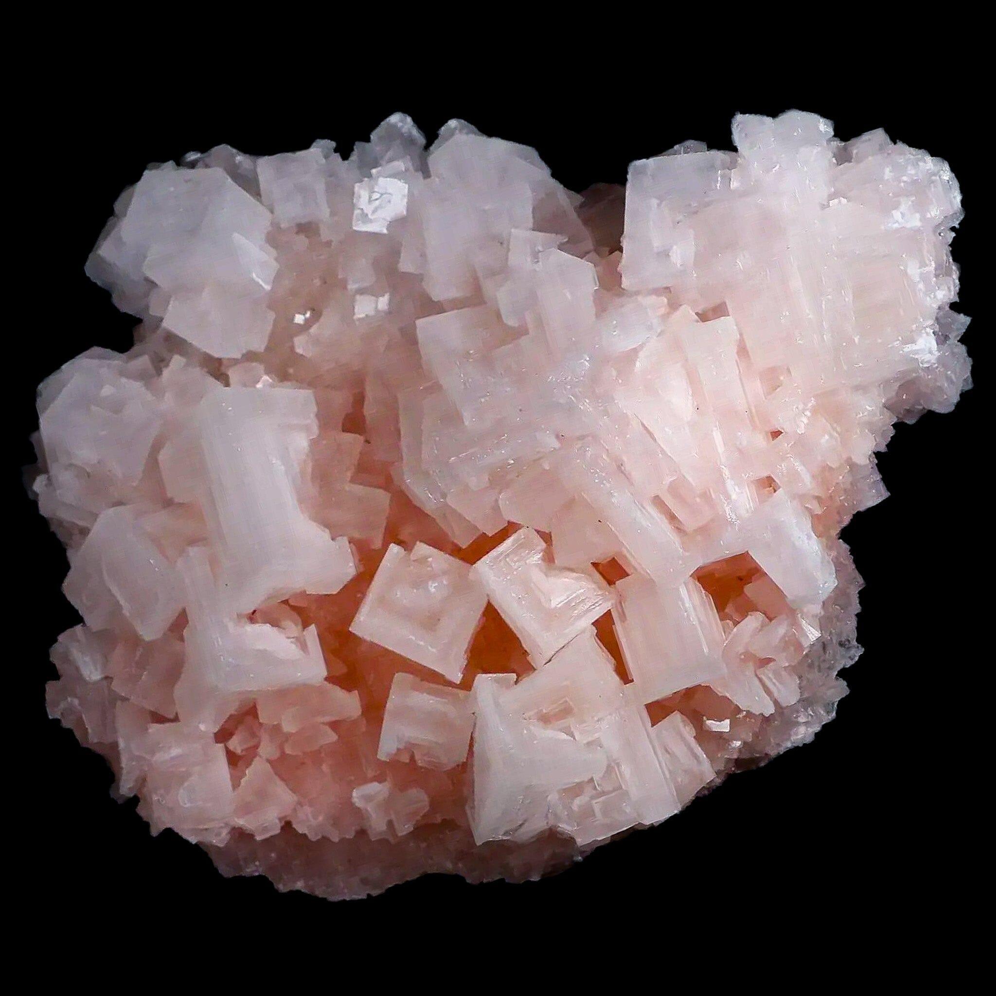Natural Pink Halite Salt Crystals Cluster from Searles Lake, CA - 4.7