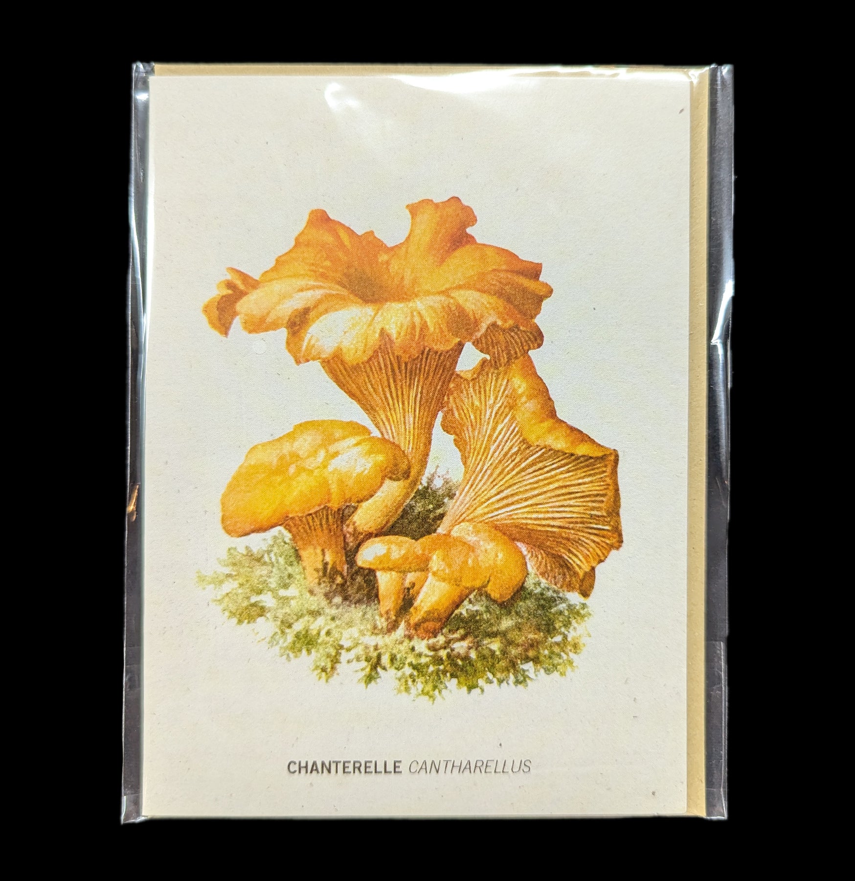 Elegant Chanterelle Mushroom Greeting Card - Perfect for Nature Lovers, Birthday Wishes & Thank You Cards - Ideal for Handmade Stationery & Eco-Friendly Gifts