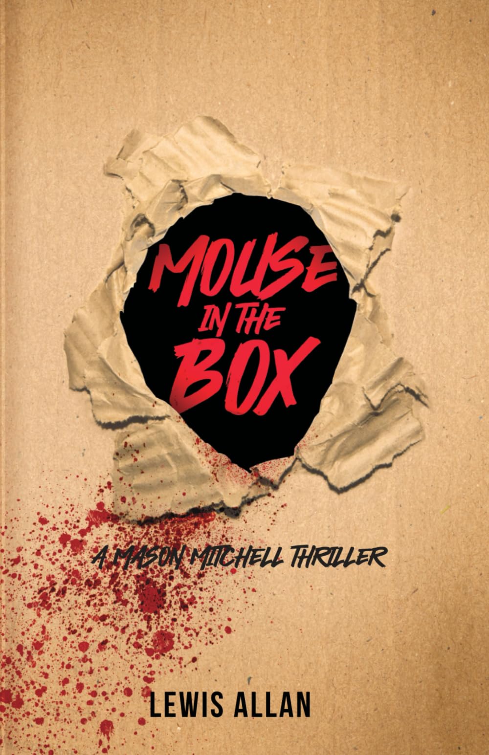 Mouse In The Box - Fun Surprise Toy for Kids, Cat Teaser & Stress Relief Gift - Perfect for Birthday Parties, Office Pranks & Pet Entertainment