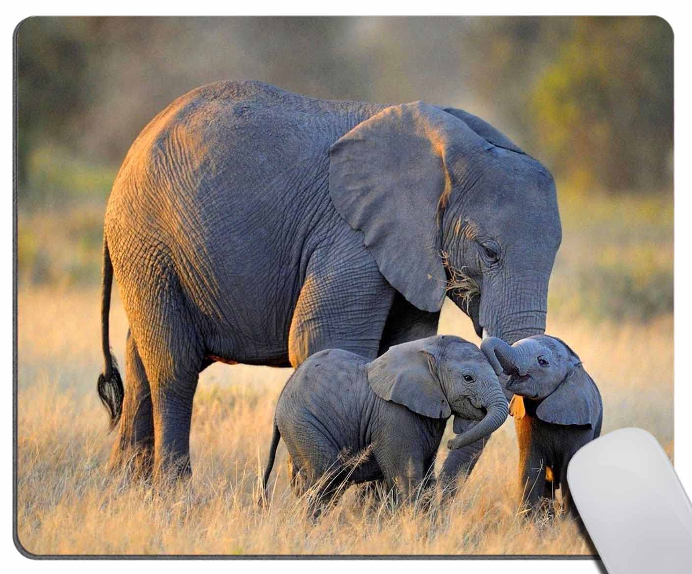 Elephant with Babies Mouse Pad - Non-Slip Rubber Base Smooth Surface Rectangle Mousepad for Computer, Laptop & Office Use | Custom Design Desk Accessory for Work, Gaming & Home Office Setup
