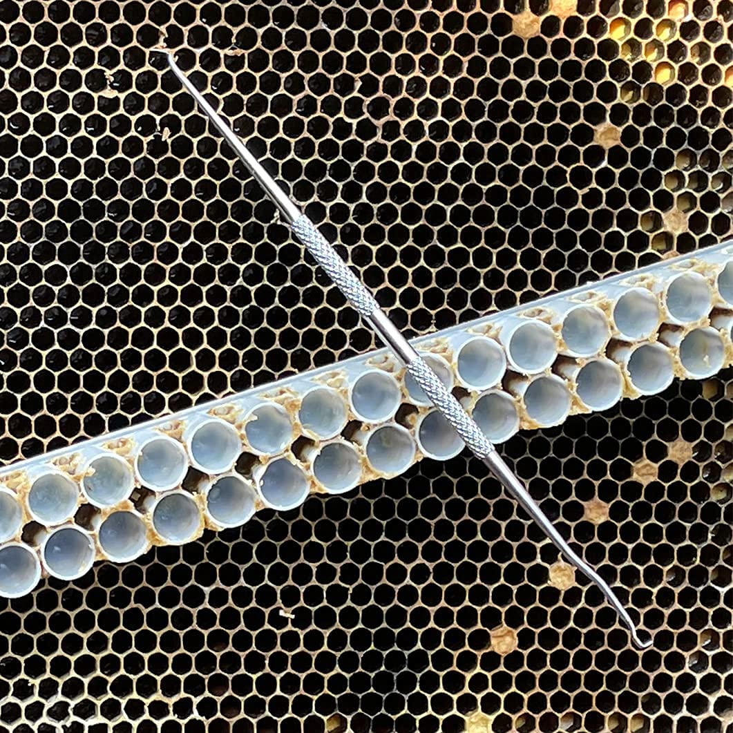 Stainless Steel Queen Bee Grafting Tools - 2PCS for Beekeeping & Larva Transplanting - Perfect for Hive Management