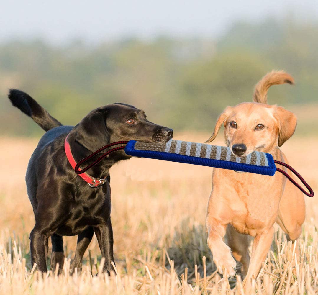 Durable Jute Dog Tug Toy for Medium & Large Breeds - Strong Bite-Resistant Pull Toy for Interactive Play, Tug of War & Training - Blue Dog Chew Pillow & Bite Sleeve Toy (Perfect for Playtime, Bonding & Aggressive Chewers)