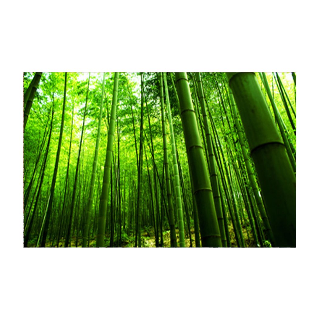 Premium Bamboo Forest Aquarium Background - Self-Adhesive PVC Fish Tank Decoration Sticker (30