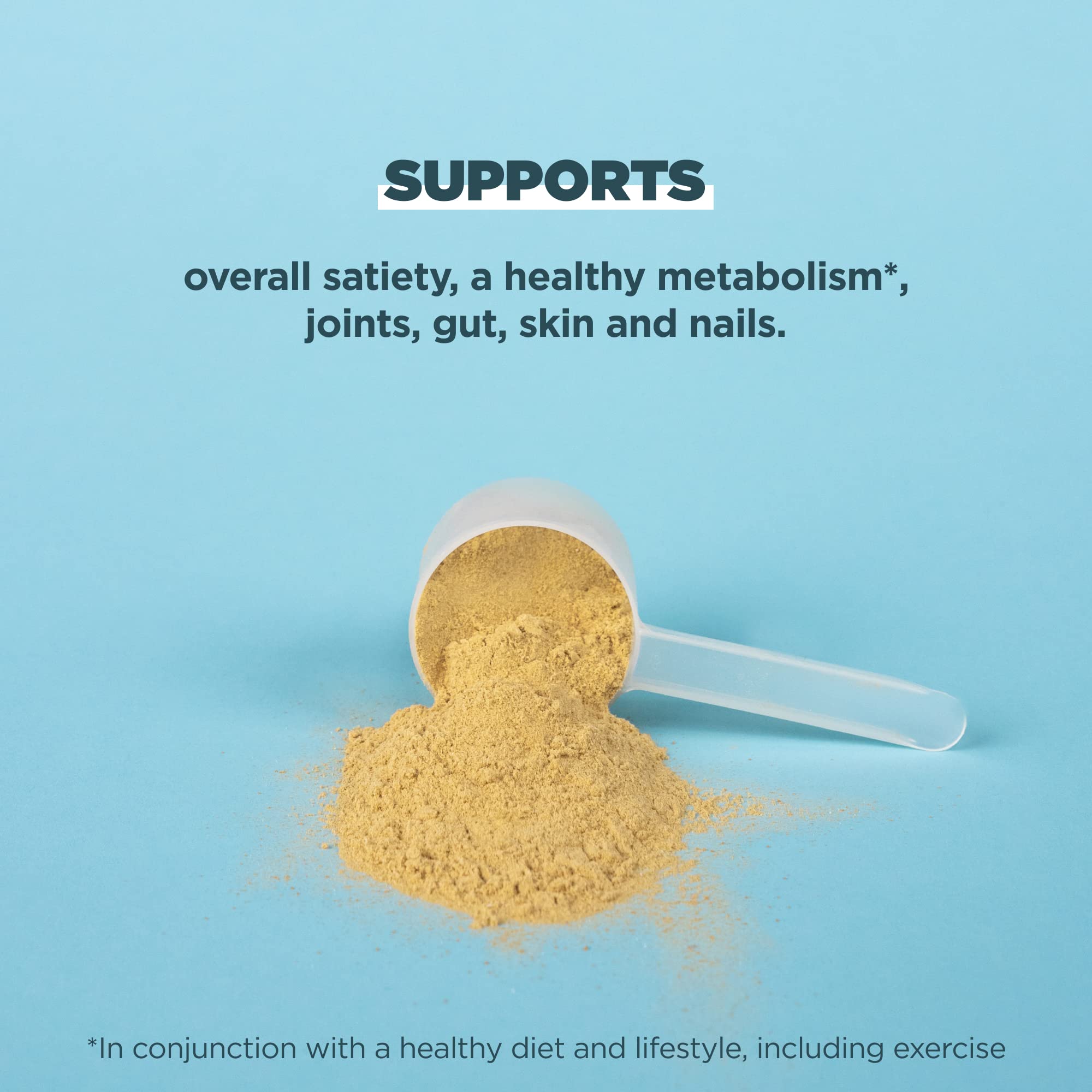 Ancient Nutrition Bone Broth Protein Powder - Butternut Squash Flavor, Grass-Fed Chicken & Beef Collagen, 15g Protein per Serving, Gut Health Support, 15 Servings | Post-Workout Recovery & Immune System Boost