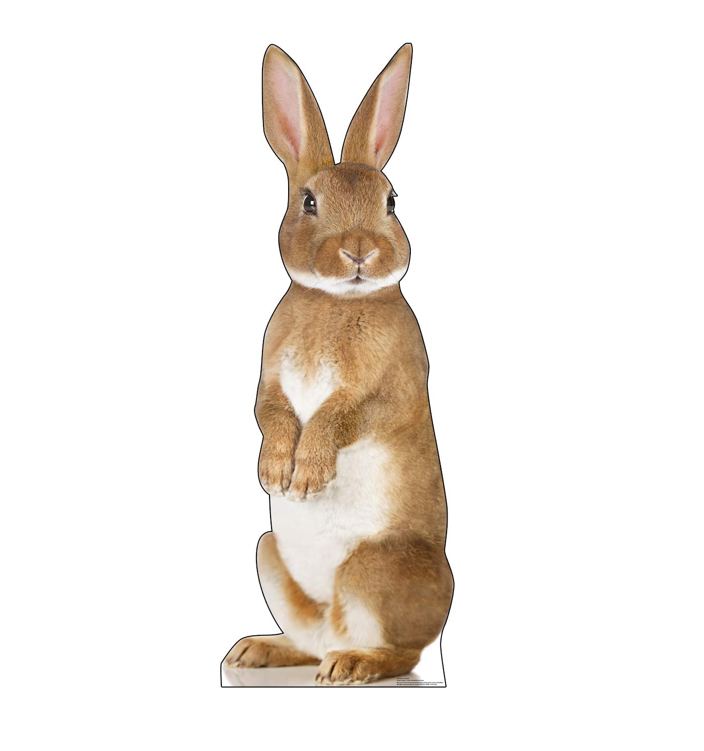 Life Size Cardboard Bunny Rabbit Cutout Standup - Perfect for Easter Decorations, Party Backdrops, and Photo Booths