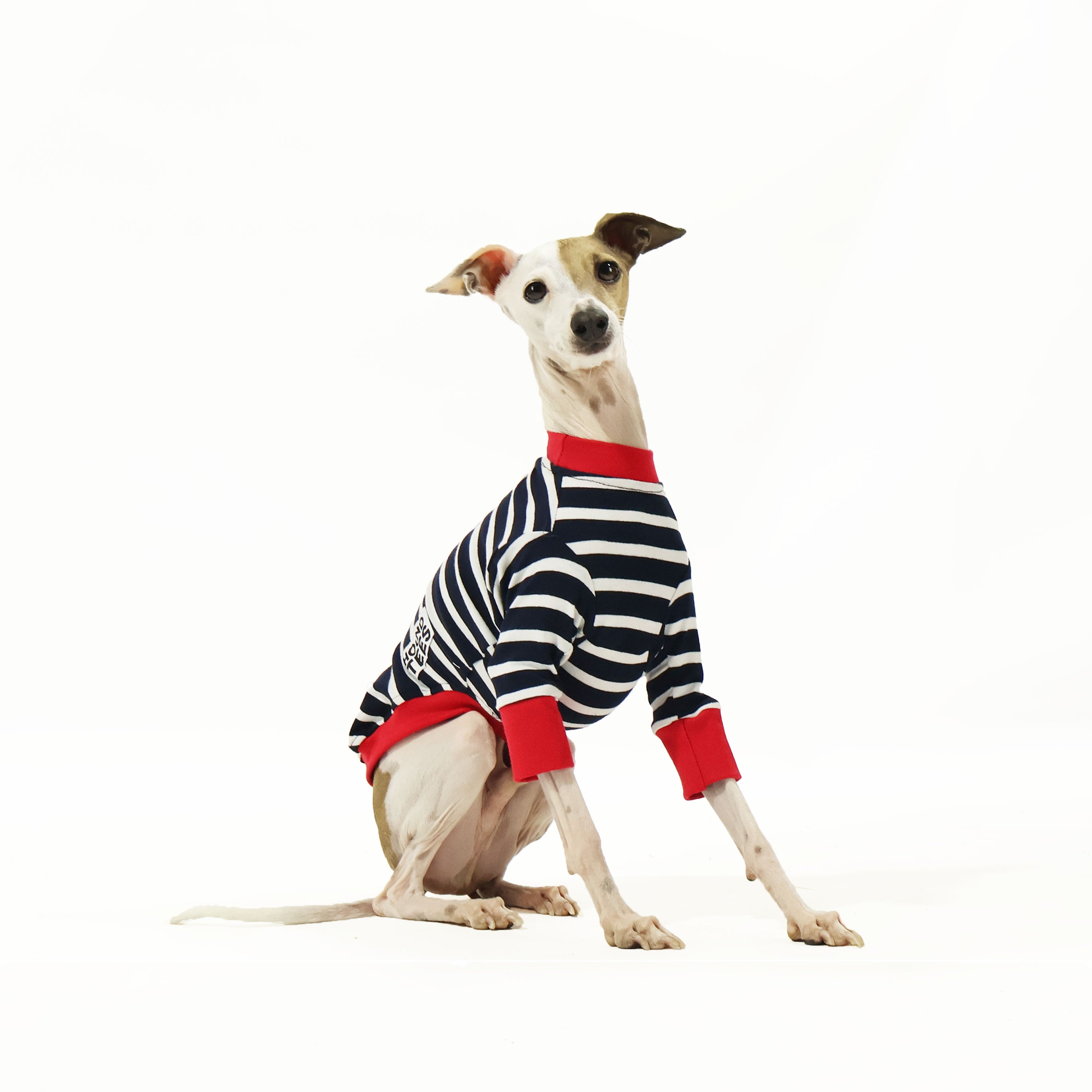 Aussie Italian Greyhound Long Sleeve Dog T-Shirt - Comfortable Pet Apparel for Small Breeds, Walking & Outdoor Adventures