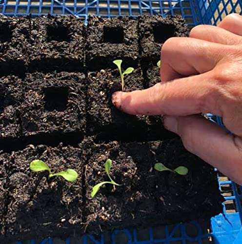 Ladbrooke Authentic Soil Block Maker Micro 20 - Handheld Soil Blocker for Seed Starting | Made in England | Perfect for Home Gardening & Organic Farming