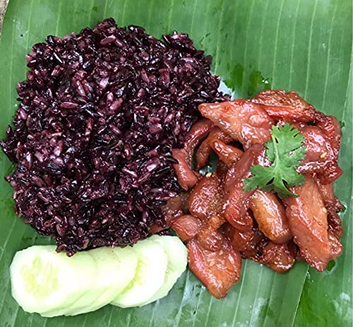 Premium Black Sticky Rice - Buddha Sunlee Thai Sweet Rice, Gluten-Free 5 lb Vacuum Sealed | Authentic Thai Pantry | Perfect for Desserts, Rice Pudding & Asian Cooking