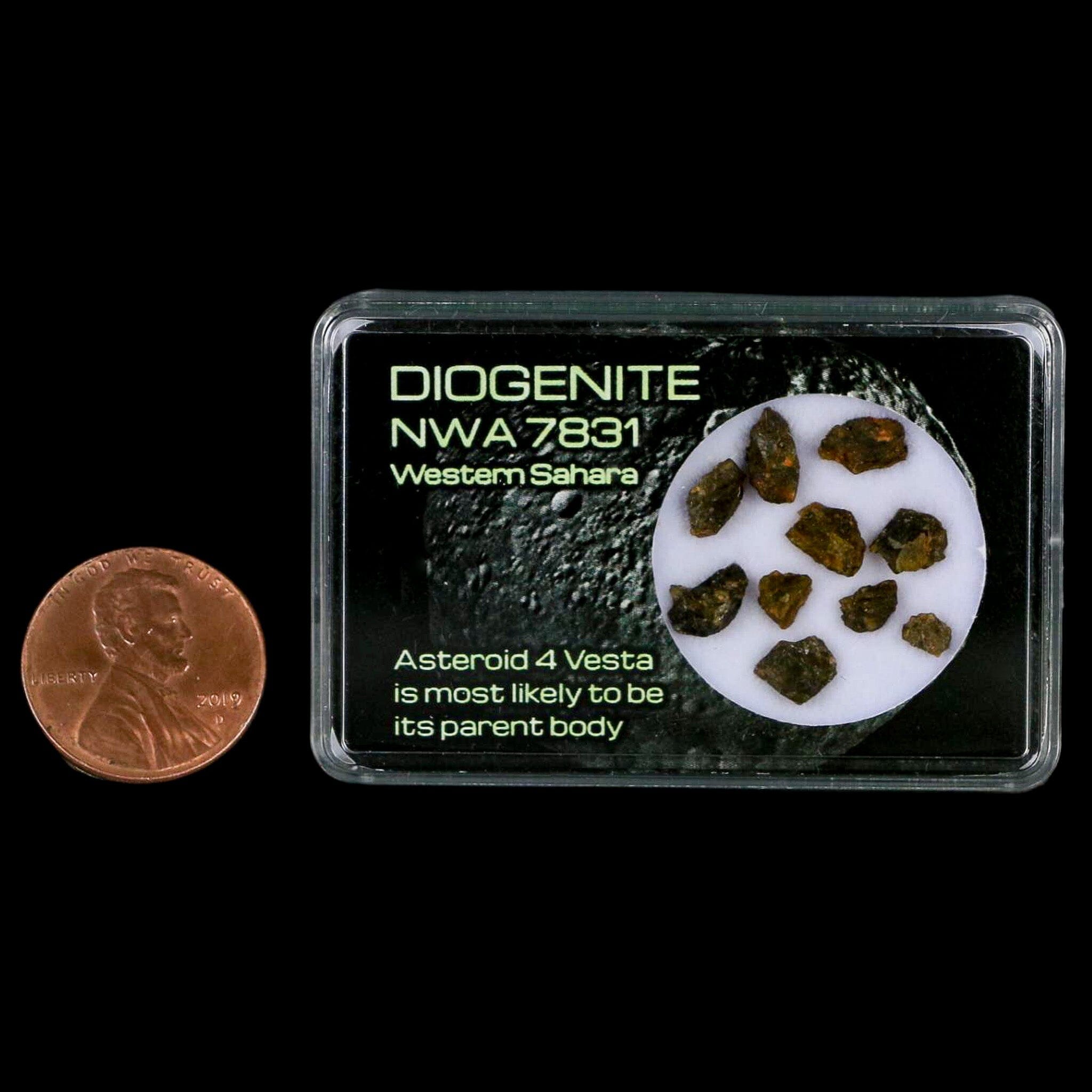 Authentic Diogenite Meteorite from Asteroid 4 Vesta - Rare NMW 7831 Specimen from Western Sahara | Perfect for Science Display, Space Collection & Educational Purposes