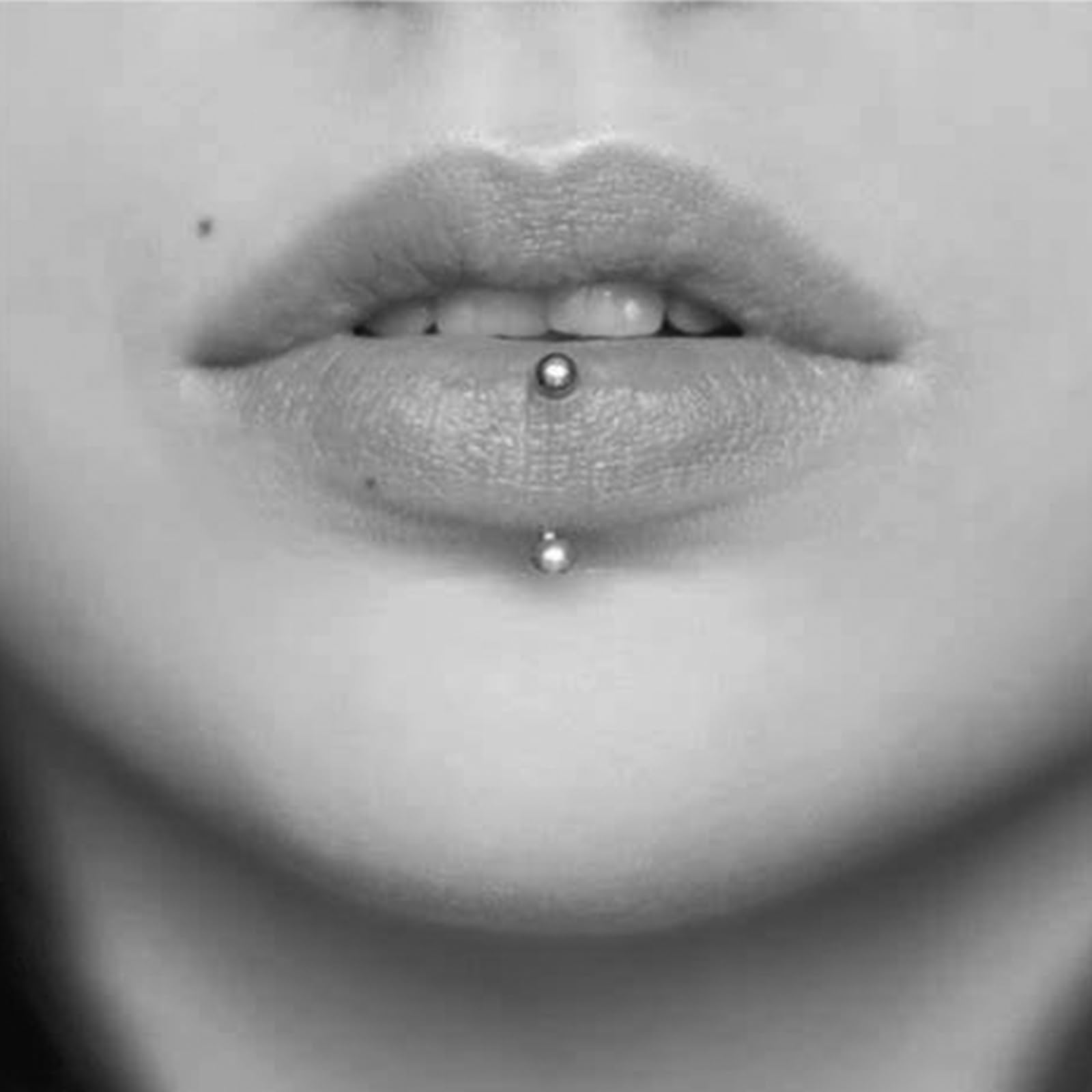 MODRSA 16G 14G Surgical Steel Rook Piercing Jewelry - Curved Barbell Earrings for Women, Gold & Silver Eyebrow Rings, Vertical Labret, Daith, Tragus & Snug Piercings - Hypoallergenic Body Jewelry for Everyday Wear & Special Occasions