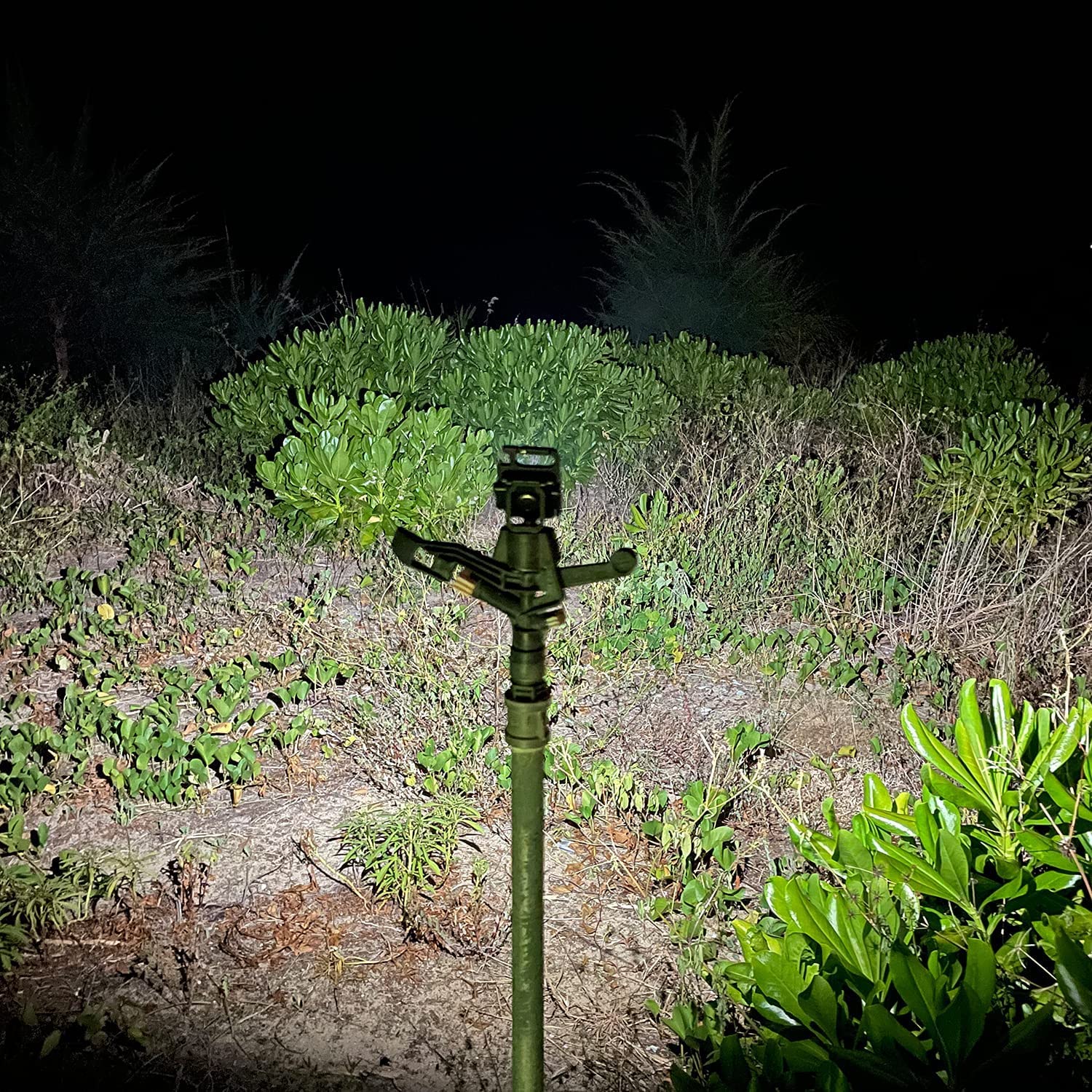 800 Lumens Rechargeable COB Mini Flashlight - Ultra Bright Keychain Light with 3 Modes, Folding Bracket, Bottle Opener & Magnetic Base | Perfect for Camping, Hiking, Fishing, Emergency & Everyday Carry (EDC)
