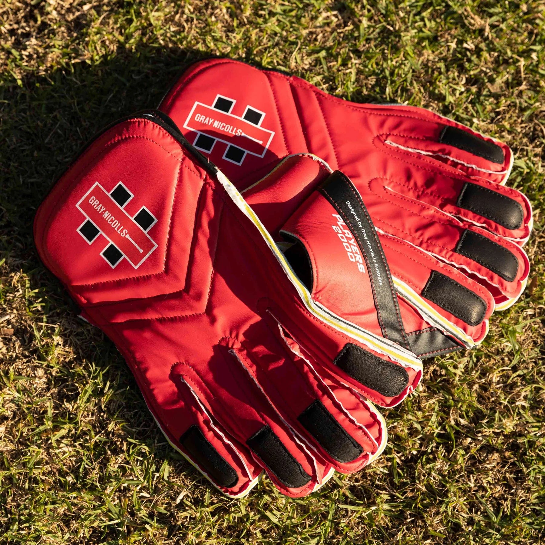 Gray Nicolls Players 2000 Cricket Wicketkeeping Gloves - Professional Grade Wicket Keeper Gloves for Cricket Matches & Training - Perfect for Wicketkeepers in Competitive Games & Practice Sessions