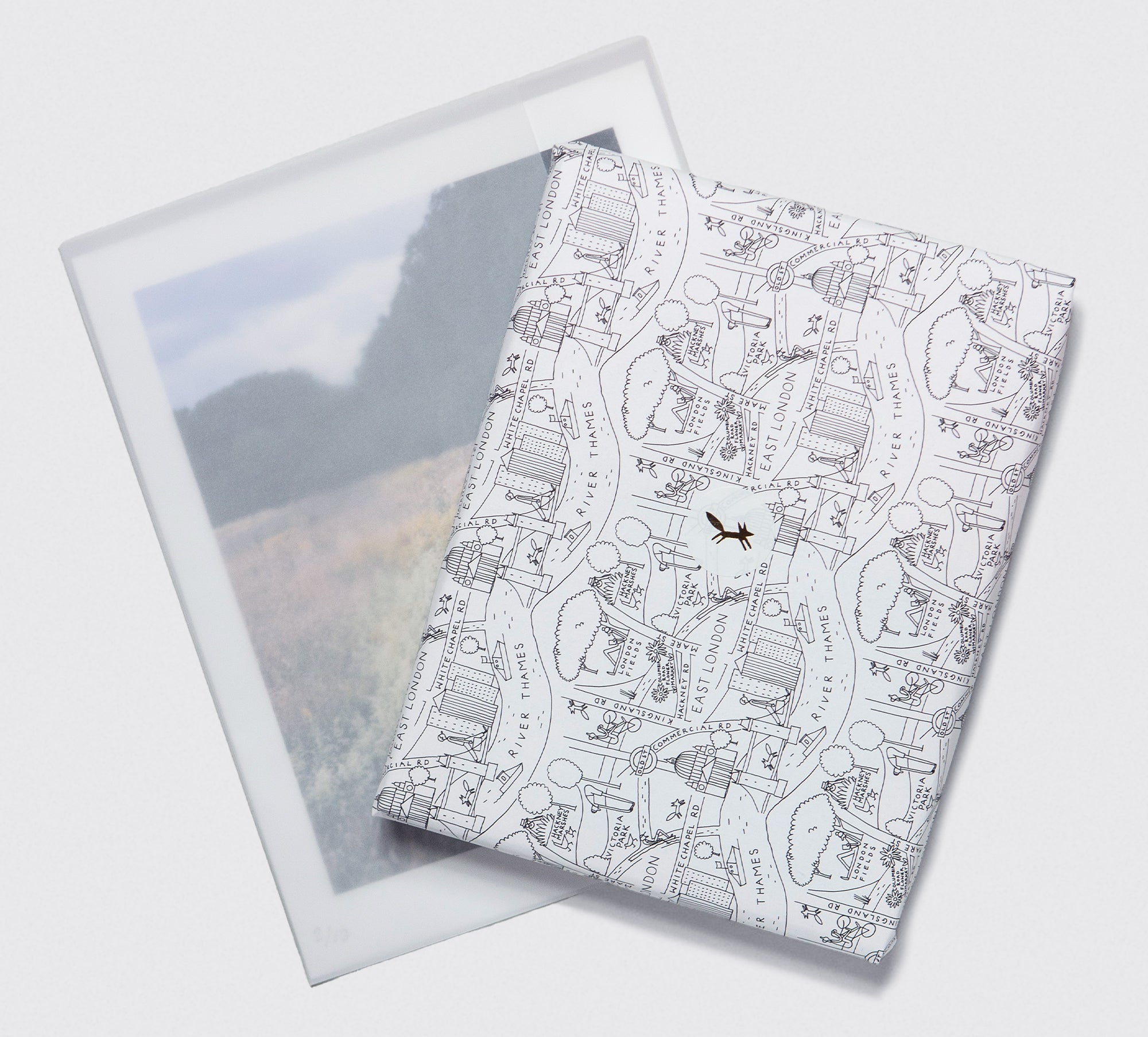 Collector's Subscription Box - Monthly Curated Collectibles & Memorabilia | Perfect for Hobbyists, Gift Giving & Display Collections