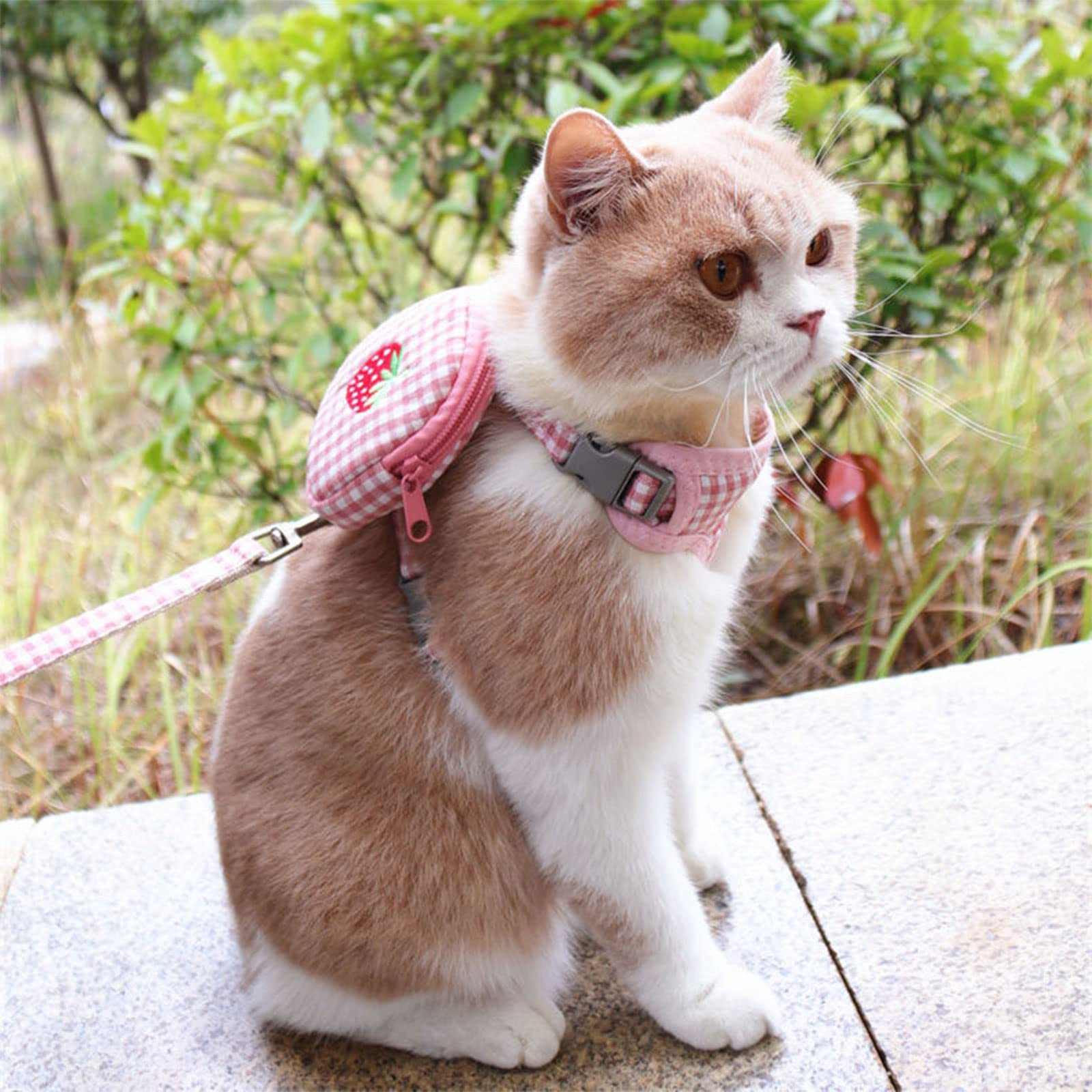 Adjustable Pet Backpack Harness with Leash Set - Pink Dog Carrier for Small to Medium Dogs - Perfect for Outdoor Travel, Camping & Hiking Adventures