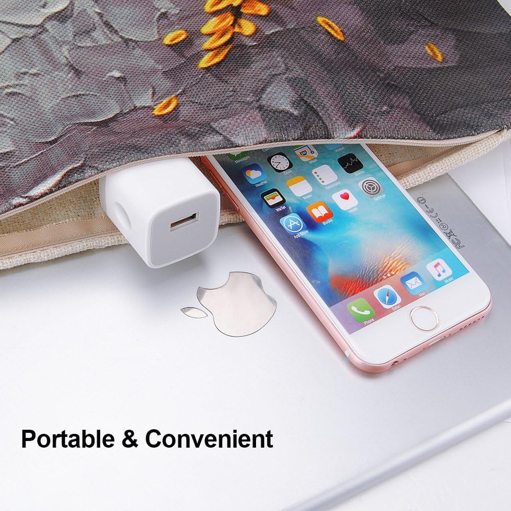 2-Pack USB Wall Charger Cube - 5V/1A Fast Charging Power Adapter Plug for iPhone 16/15/14/13/12/11 Pro Max/SE/XS/XR/X/8/7/6/6S Plus, Samsung Galaxy, LG, Moto & Android Phones - Compact Travel Charger for Home, Office & Car