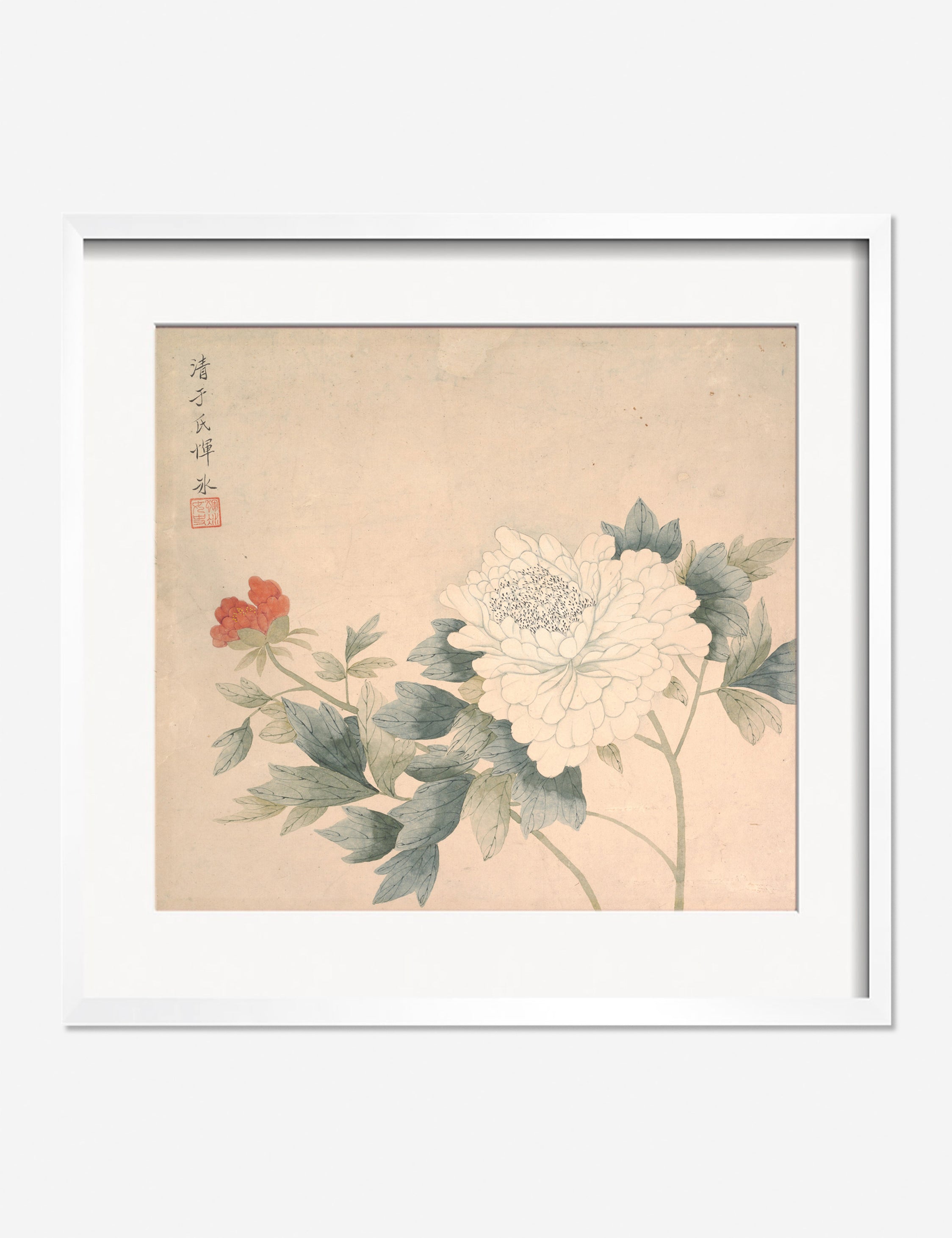 Flower Study 2 Print by Yun Bing - Botanical Wall Art Decor for Living Room, Bedroom & Office - Perfect for Home Decor & Gift Giving