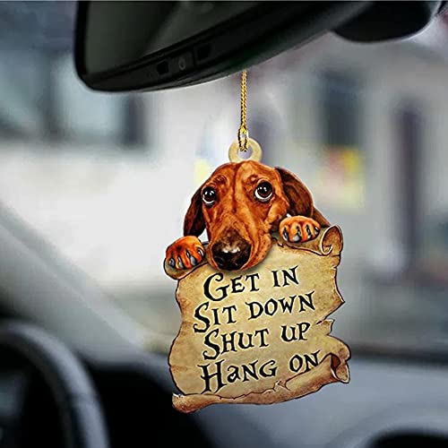 Dachshund