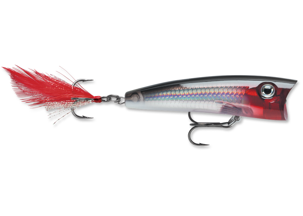 Rapala XRP07 X Ray Popper Fishing Lure - Topwater Bass Fishing Bait for Freshwater & Saltwater - Perfect for Early Morning & Late Evening Fishing Trips