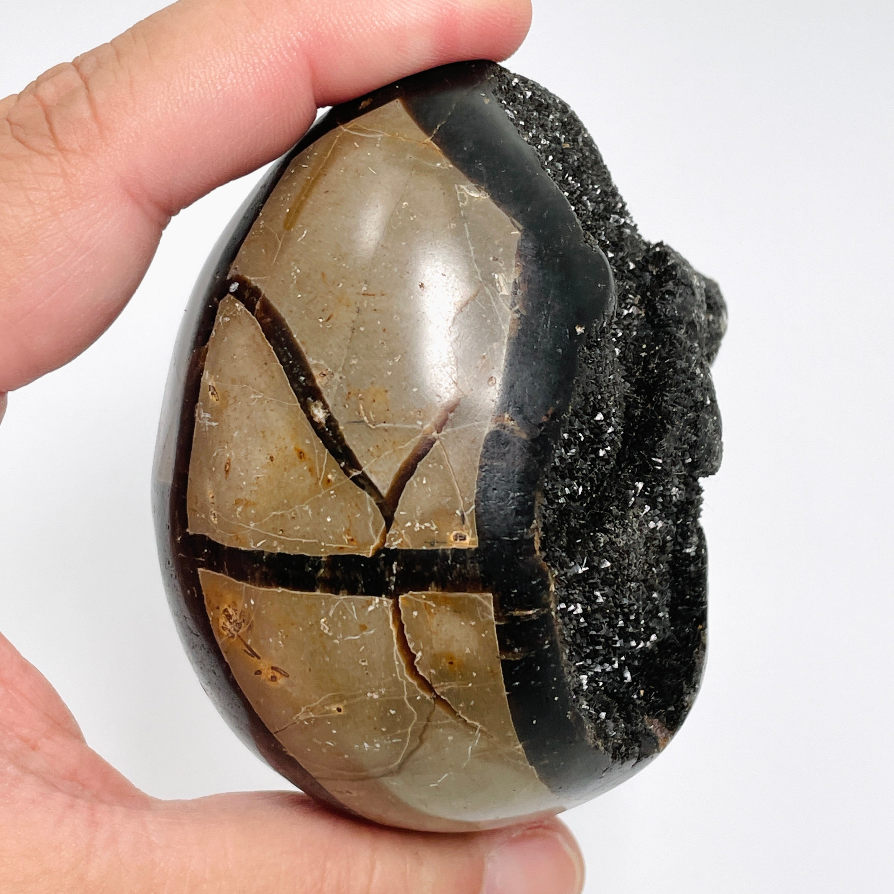 Natural Septarian Egg Stone - Unique Healing Crystal for Meditation, Home Decor & Spiritual Gifts | Perfect for Yoga Spaces, Office Desks & Crystal Collections