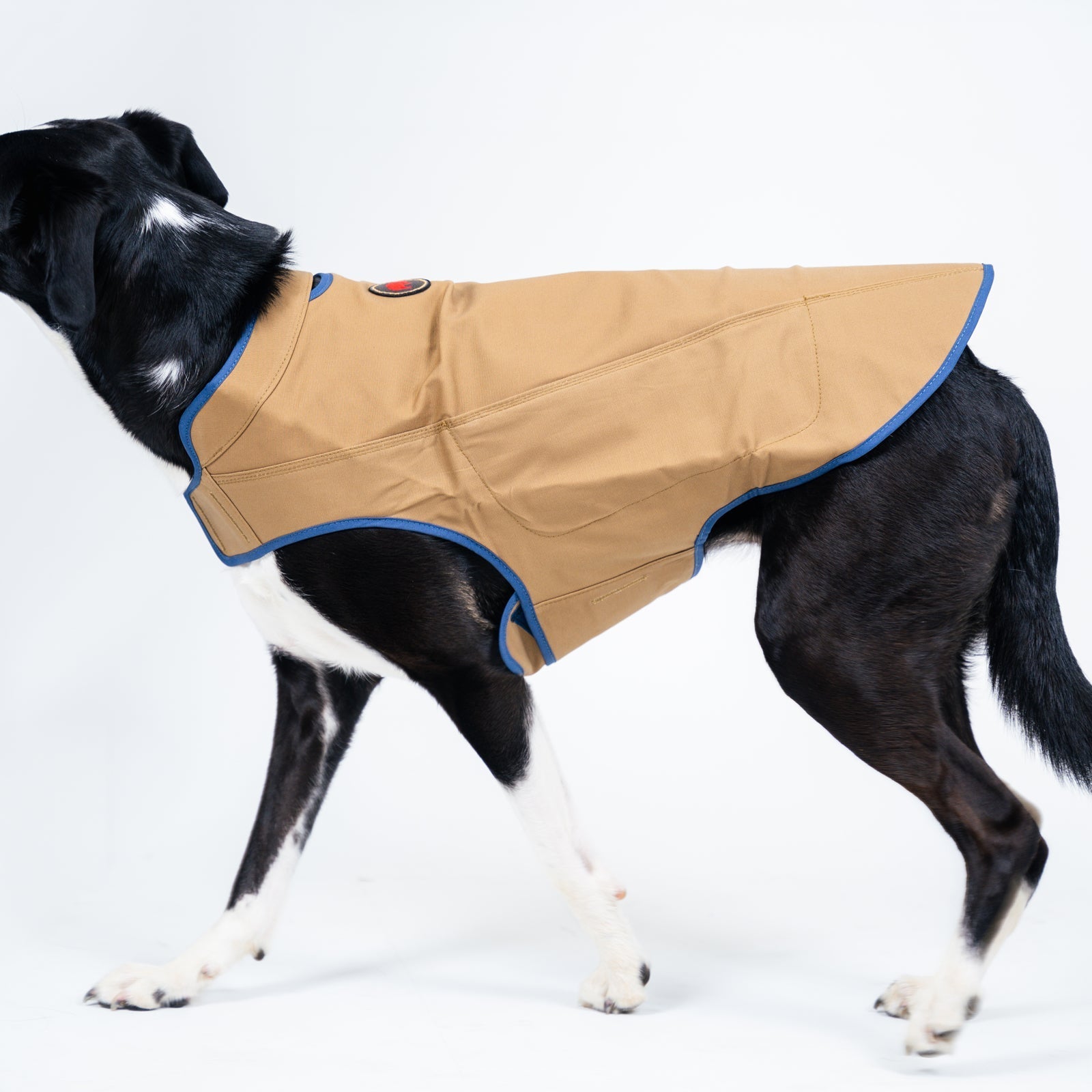 Original Camber Dog Vest - Adjustable & Reflective Pet Harness for Small to Large Dogs - Perfect for Walking, Hiking & Outdoor Adventures