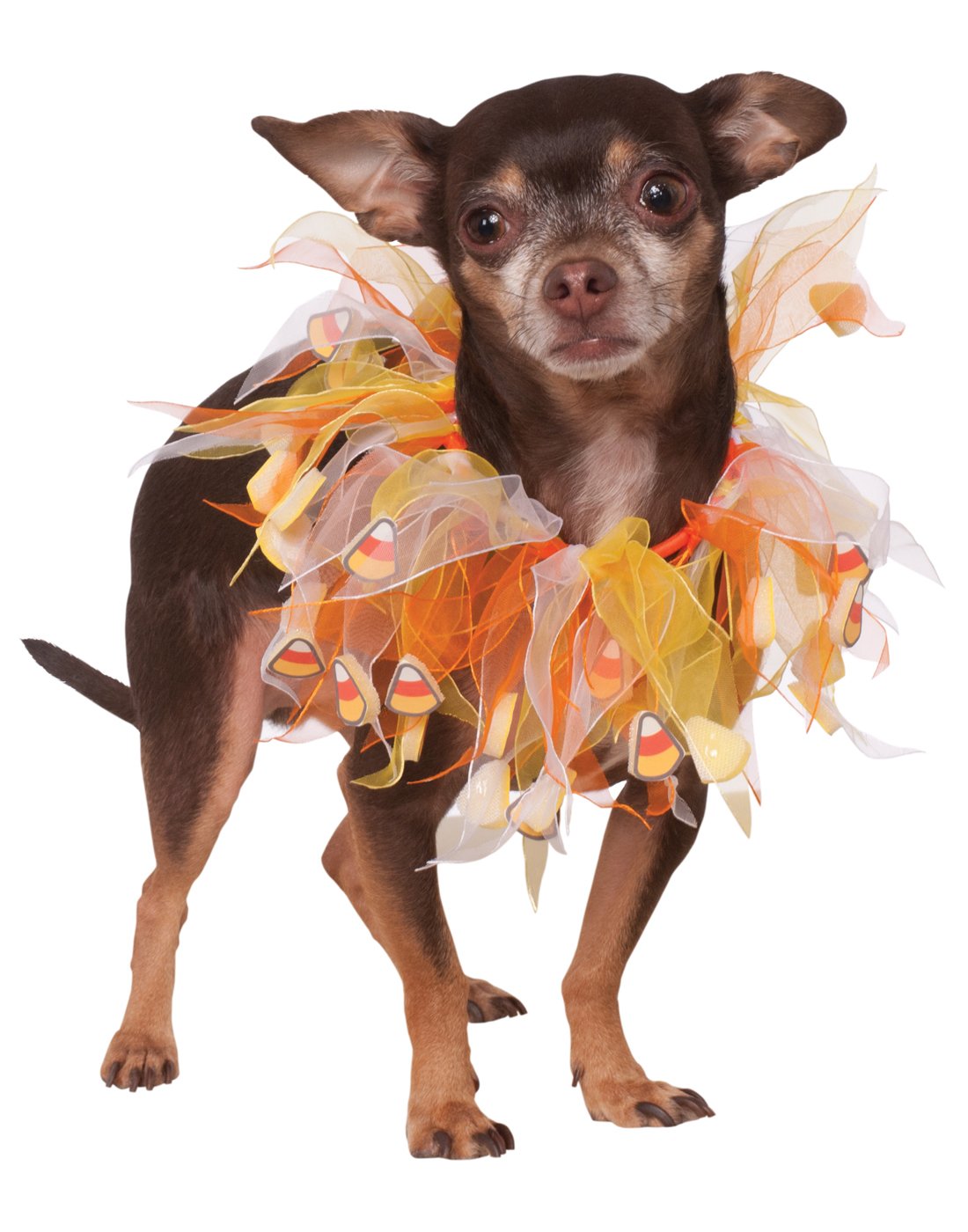 Rubie's Fancy Candy Corn Pet Collar for Dogs - Large/X-Large Size - Halloween Costume Accessory for Pets - Perfect for Halloween Parties & Pet Costume Contests