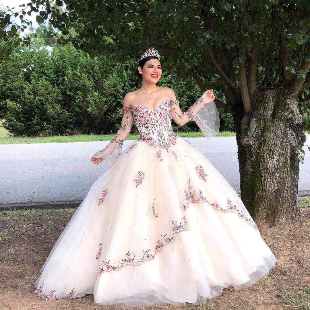 Emanni Women's Elegant Embroidery Quinceañera Dress - Ivory Tulle Sweet 15 Gown for Teen Girls | Perfect for Quinceañera Celebrations, Birthday Parties & Special Occasions