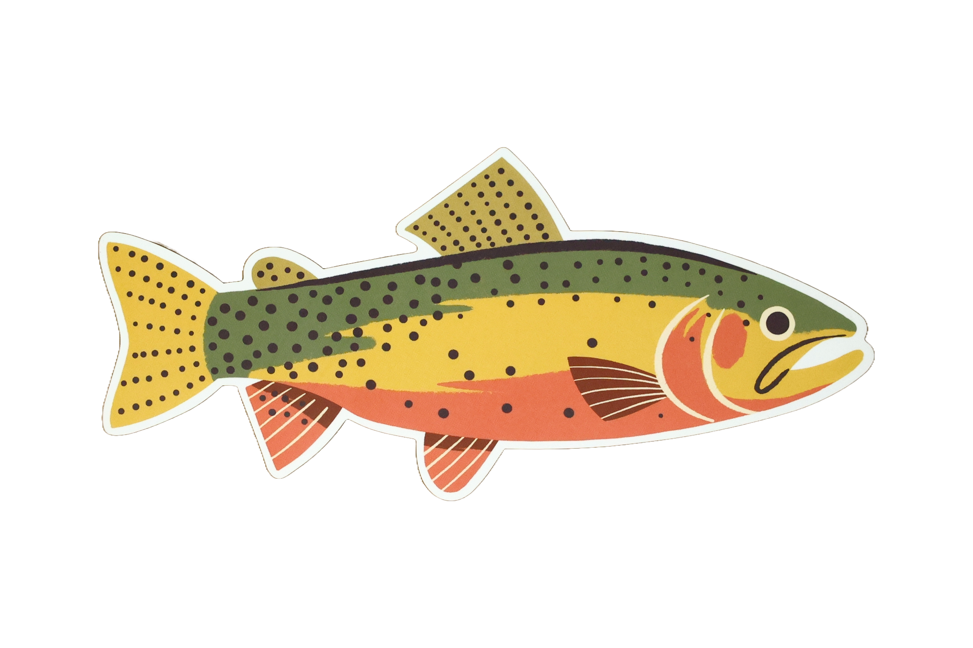 Native Trout Sticker - Waterproof Vinyl Decal for Fishing Gear, Coolers & Outdoor Equipment - Perfect for Anglers & Nature Lovers