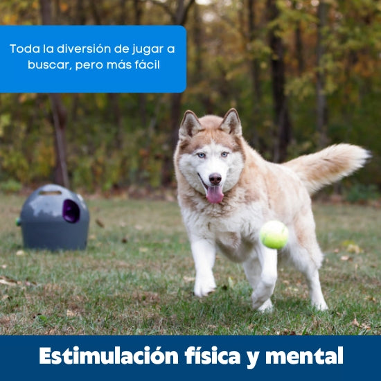 Automatic Ball Launcher for Dogs - Interactive Pet Toy with Adjustable Distance & Auto-Fetch - Perfect for Backyard Play, Training, and Exercise (English/Spanish Bilingual Packaging)