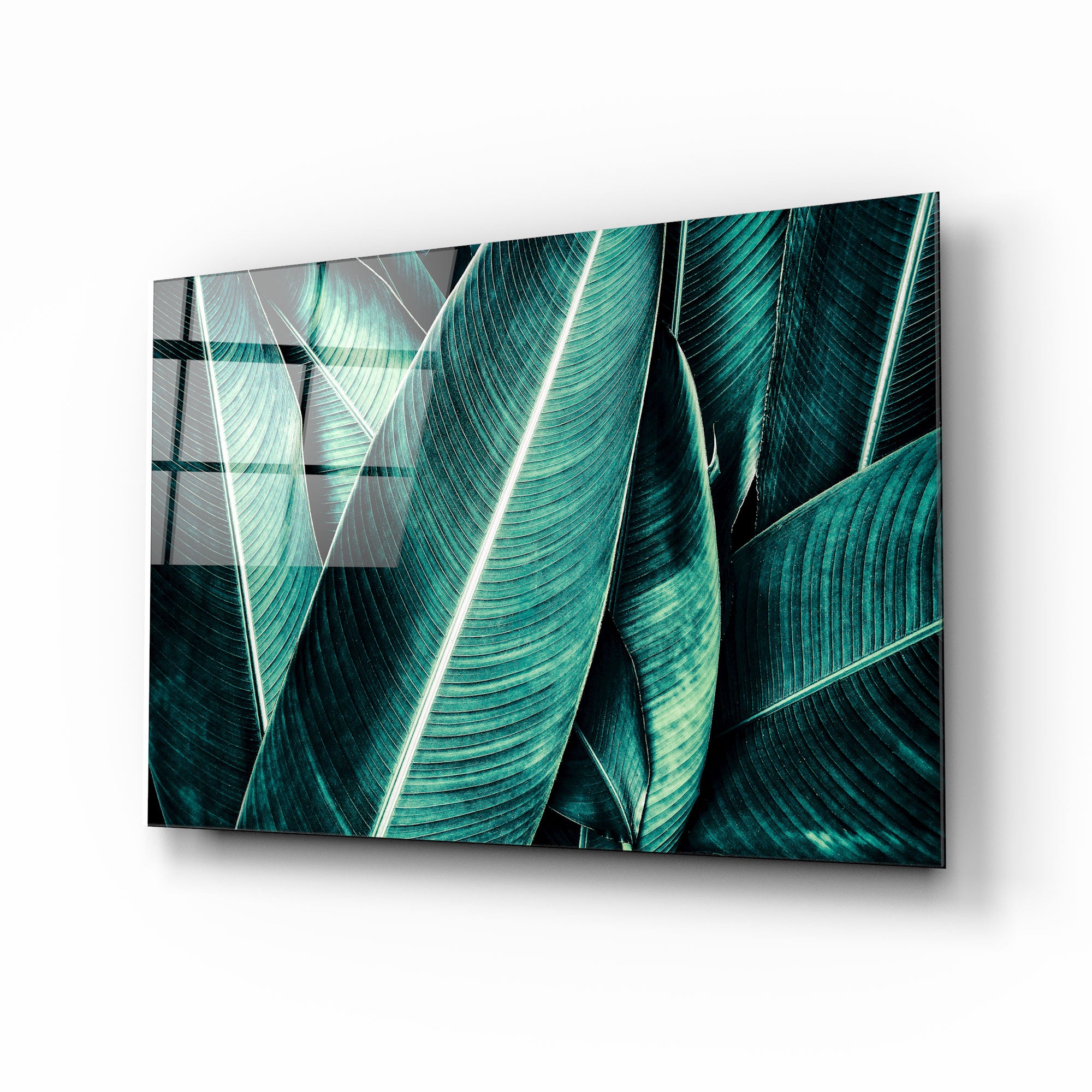 Leaves II Glass Print Wall Art - Modern Botanical Decor for Living Room, Bedroom & Office - Perfect for Home & Office Decor