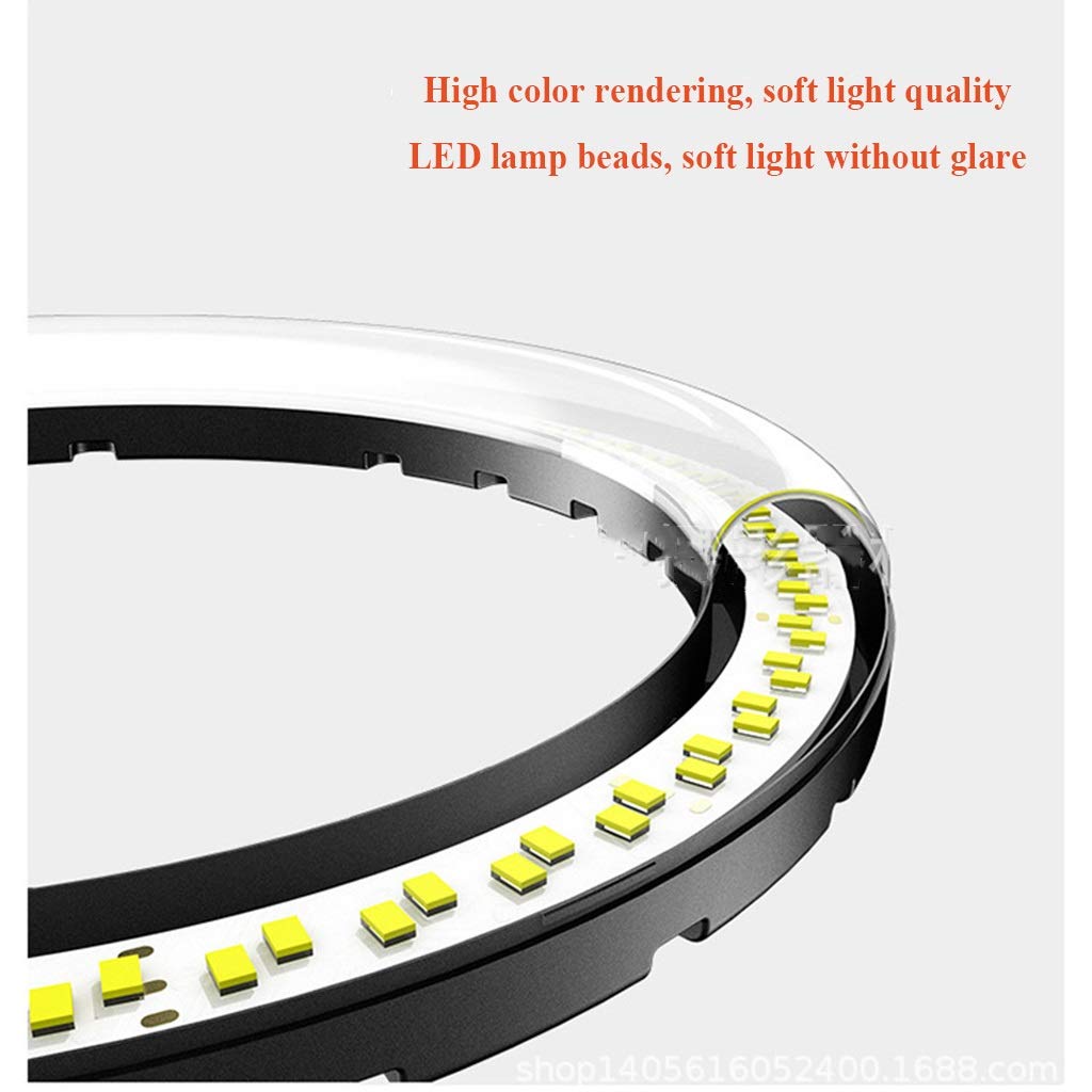 Dimmable LED Ring Light with Tripod Stand & Phone Holder - 3 Colors, 10 Brightness Levels, USB Powered for Video, Makeup, Live Streaming - Perfect for YouTube, TikTok, Zoom Calls & Home Studio Lighting