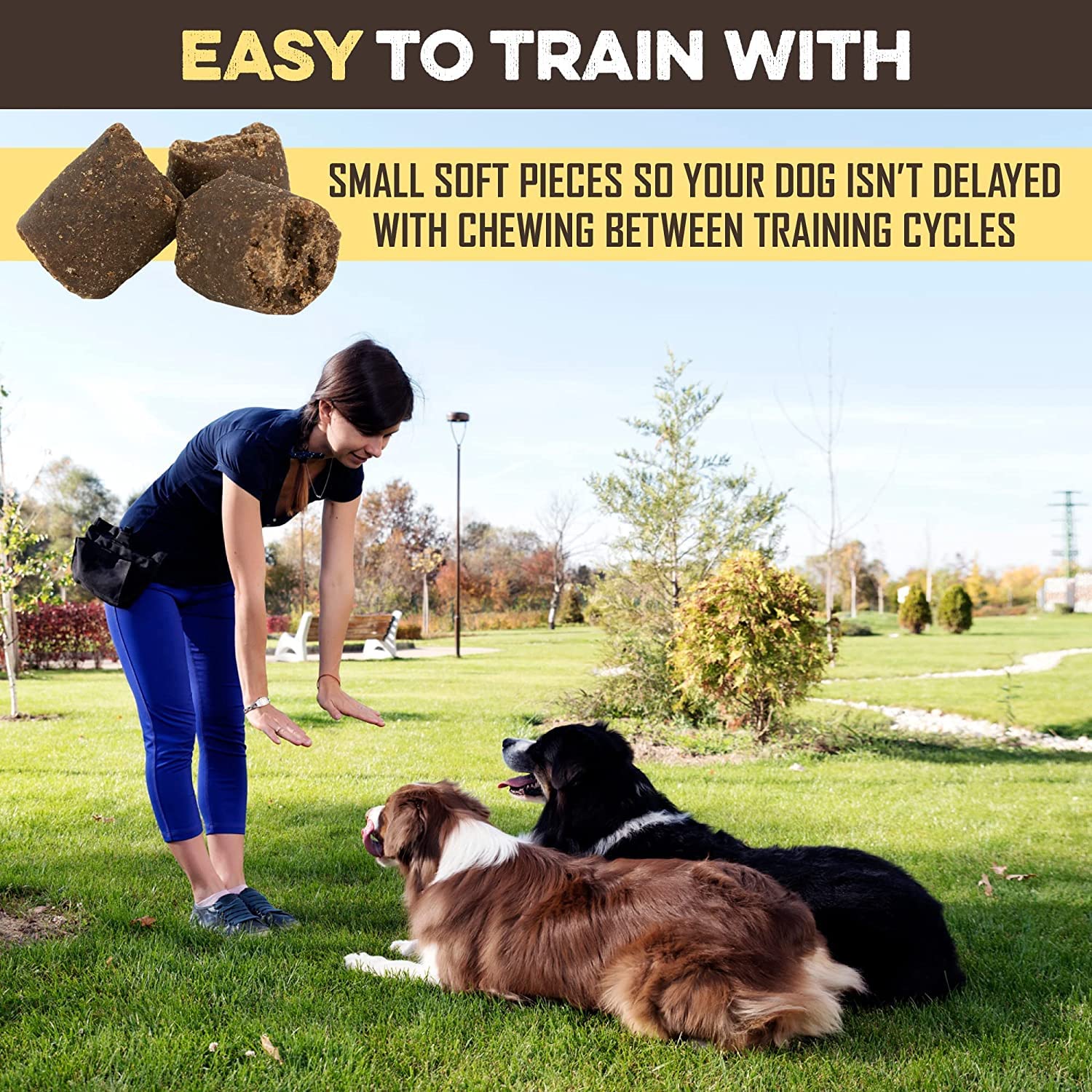 BRUTUS & BARNABY All-Natural Peanut Butter & Banana Dog Training Treats - Healthy Low Calorie Vegan Snacks for Puppies & Dogs - Perfect for Obedience Training, Reward System & Positive Reinforcement