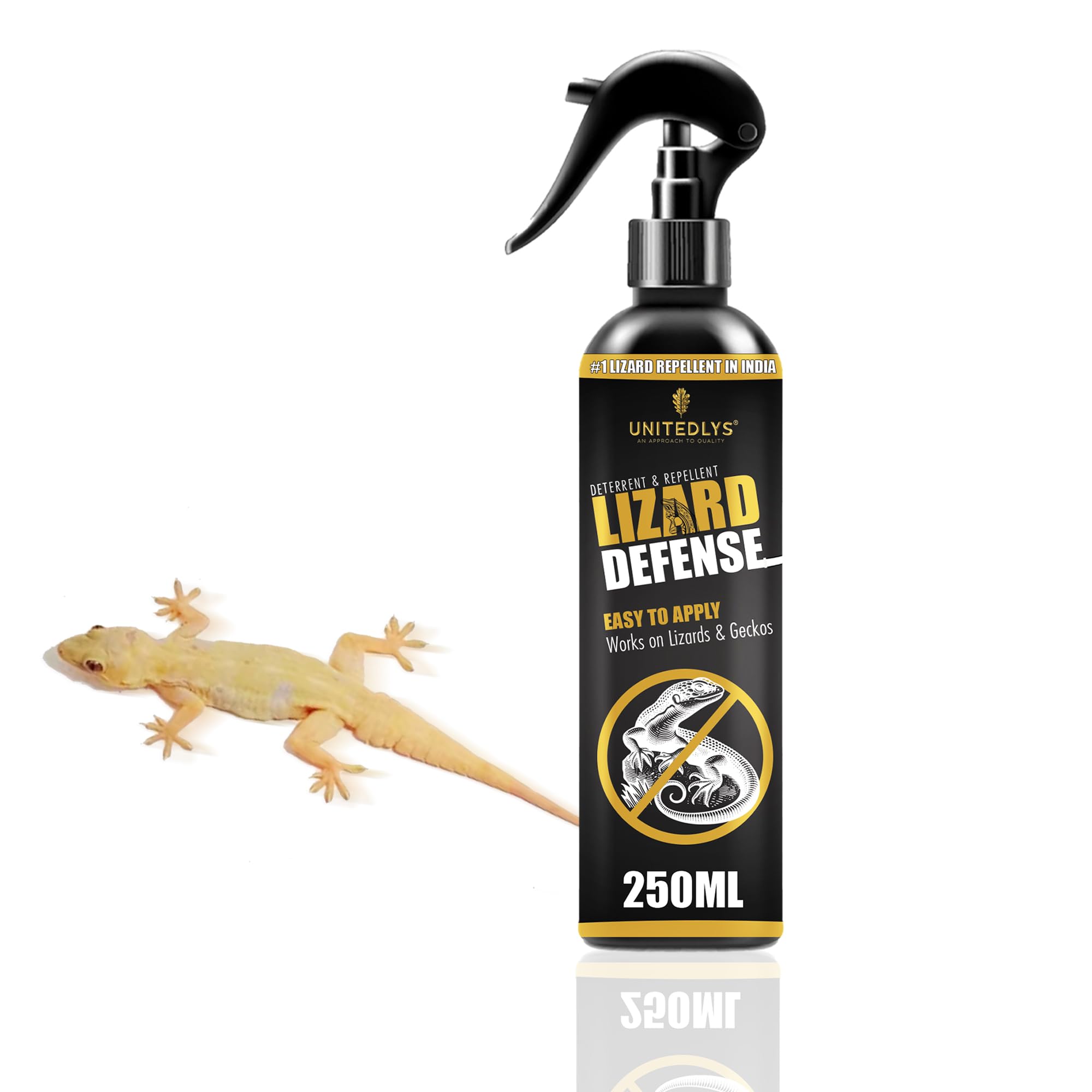 Unitedlys 100% Natural Herbal Lizard Repellent Spray - 250ml | Chemical-Free, Aerosol-Based Home Protection | Safe, Odorless & Eco-Friendly Solution | Biodegradable & Long-Lasting | Perfect for Indoor Use in Kitchens, Bedrooms & Living Areas