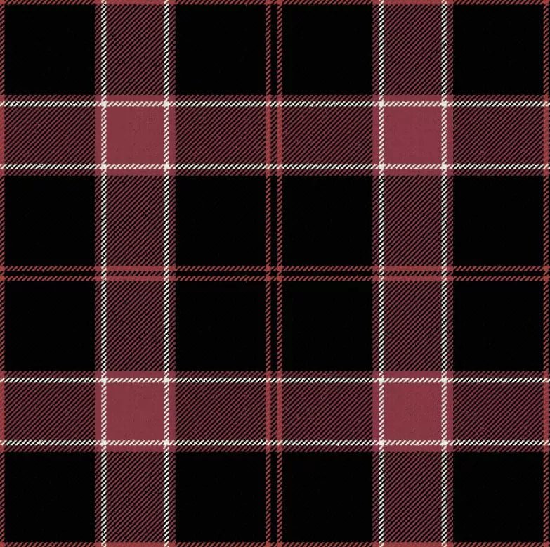 Gavin Ancient Tartan Plaid Scarf - Premium Wool Scottish Tartan Wrap for Men & Women - Perfect for Winter, Fall Fashion & Outdoor Activities