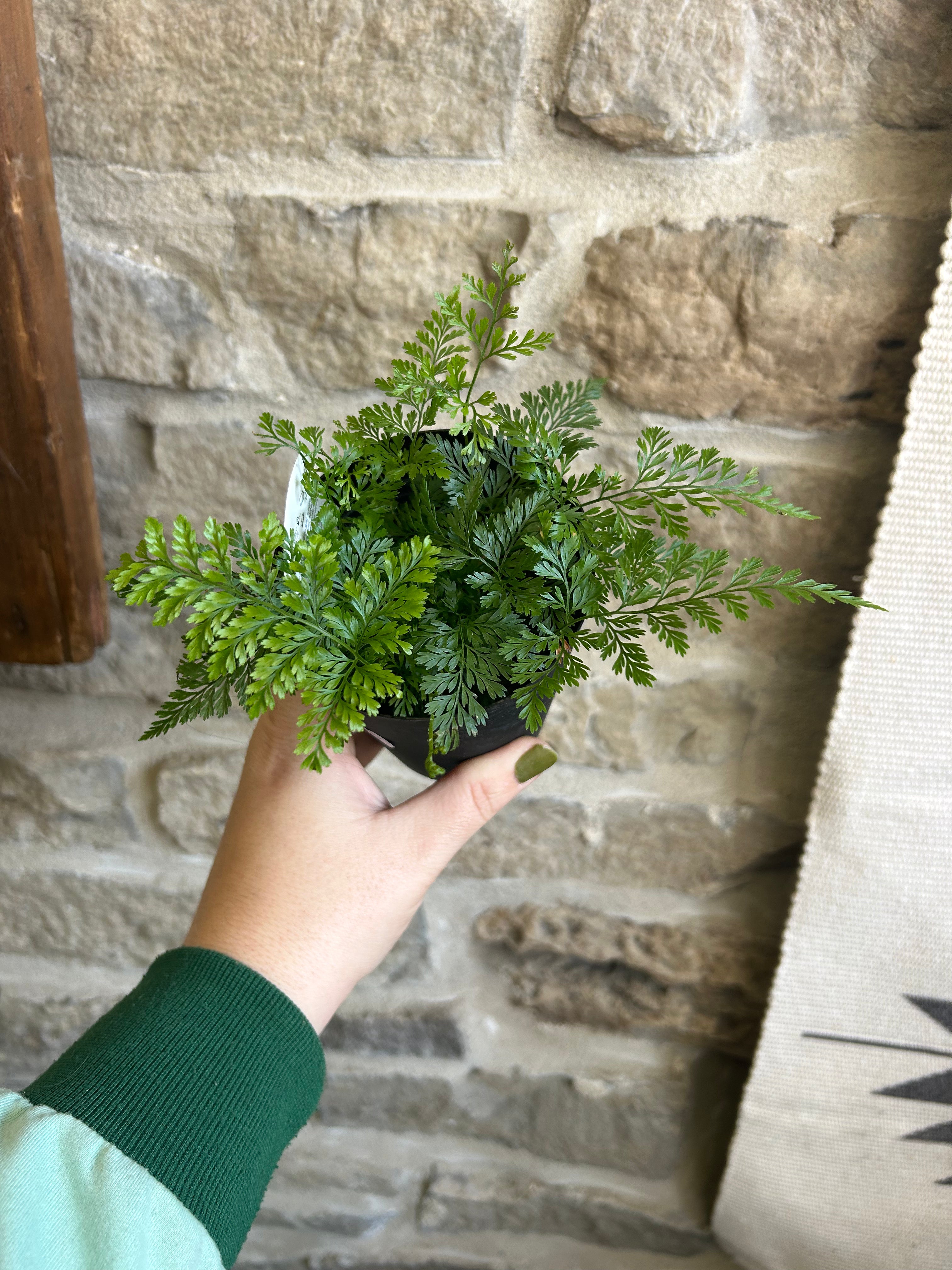 Fern 3 - Realistic Artificial Fern Plant for Home & Office Decor - Perfect for Living Room, Bedroom, and Indoor Spaces