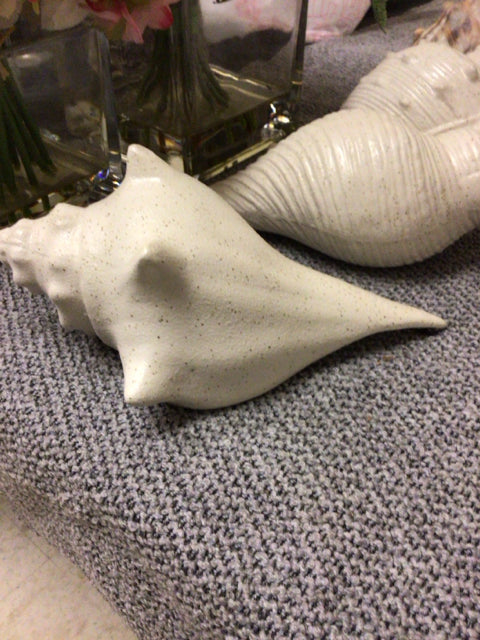 Off White Ceramic Shell - Elegant Home Decor for Modern Living Rooms, Kitchens & Bathrooms | Perfect for Wall Art, Shelf Displays & Gift Giving